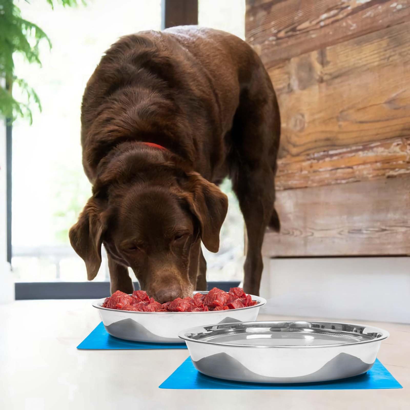 Harhana two-pack offers convenient value for households with multiple dogs.