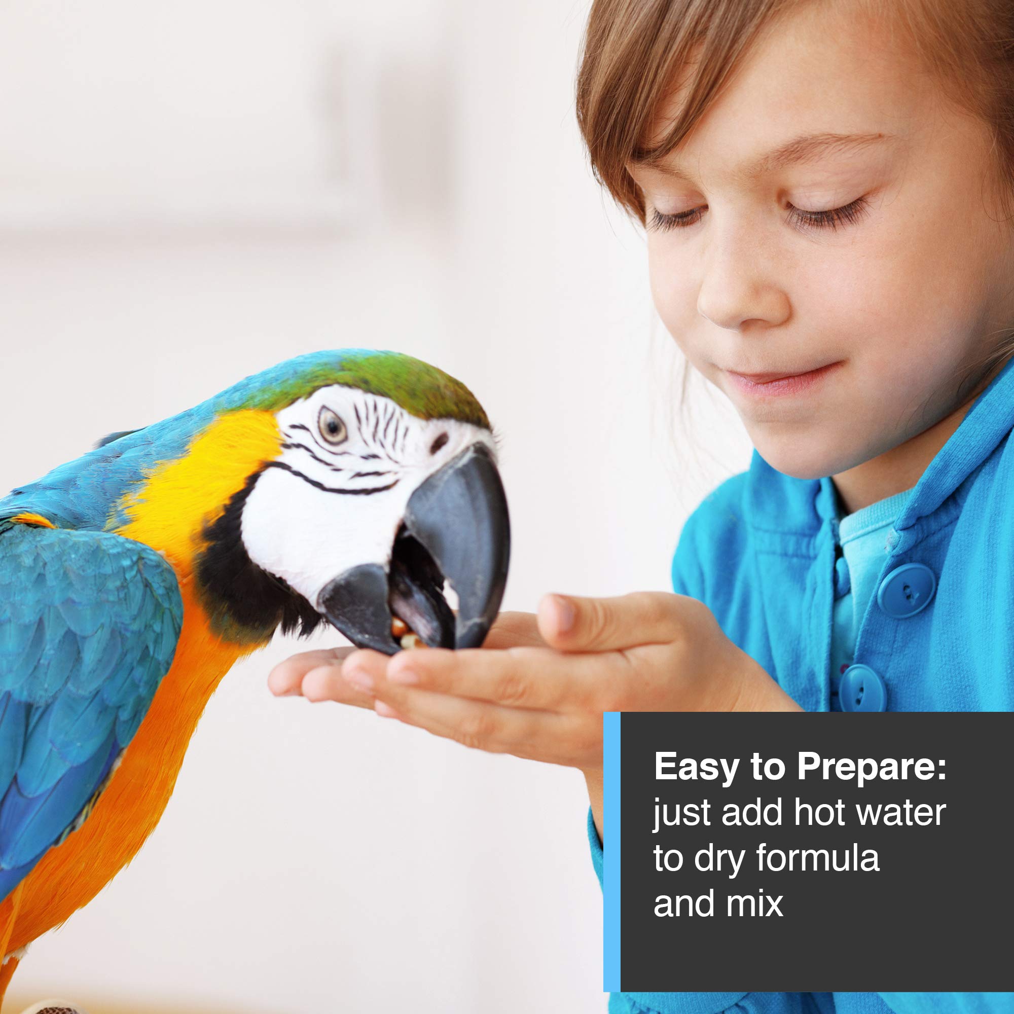 Hari Tropican feeding guidance for baby parrots eases transition to solid foods safely.