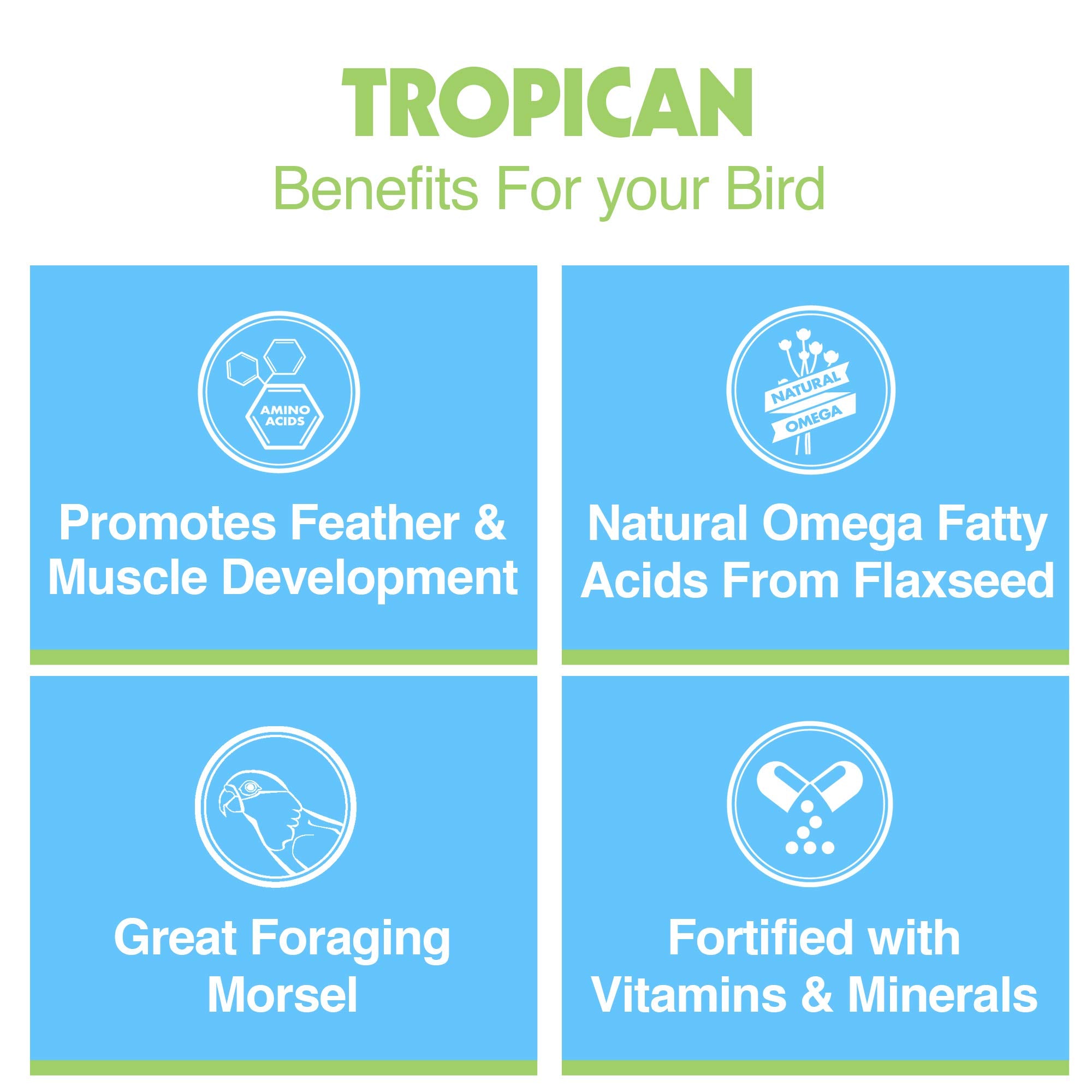 Parrot enjoying Tropican stick in a feeding scene, showcasing engagement and a protein-rich snack