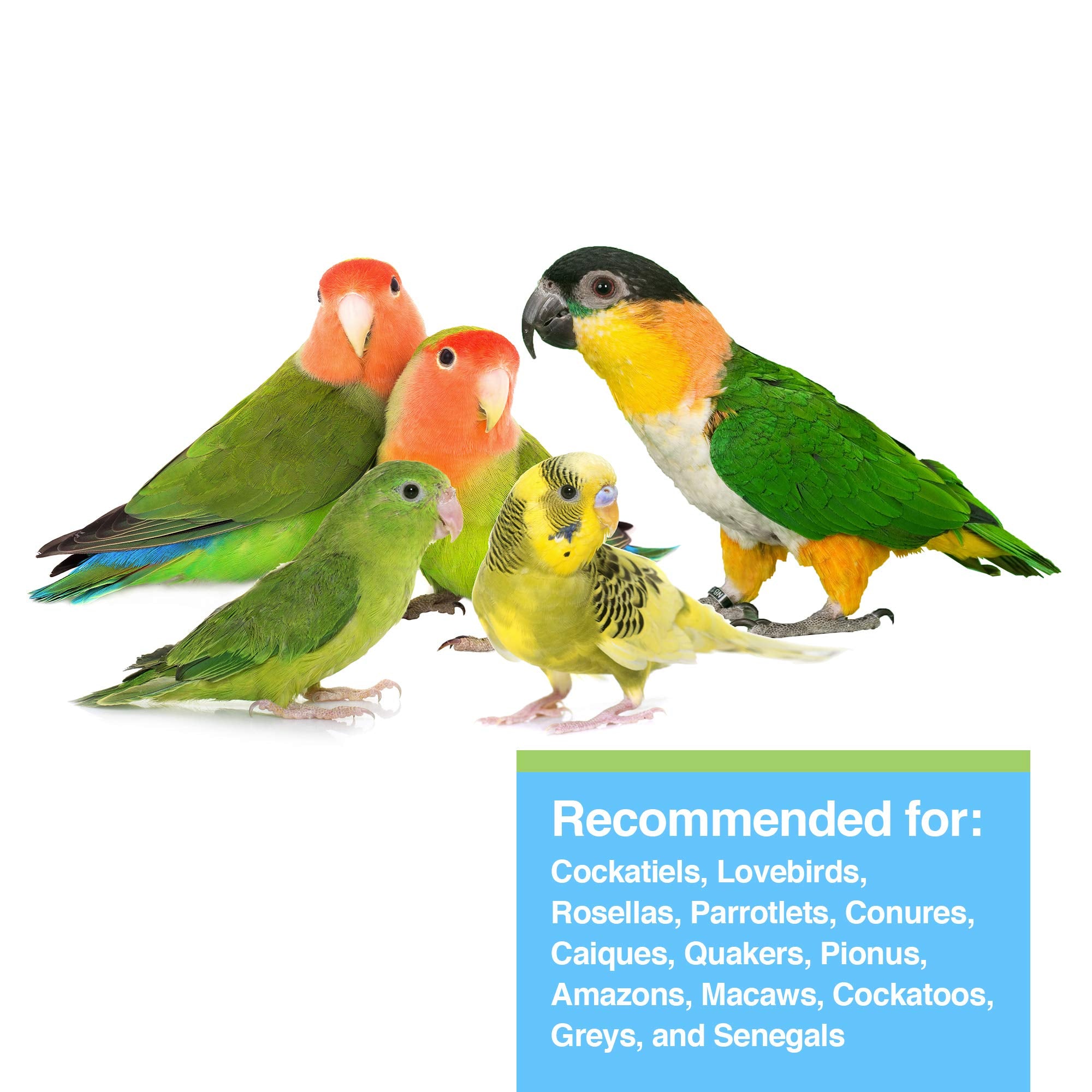 Parrot food with peanuts and sunflower seeds in Tropican mix highlighting protein and fats.