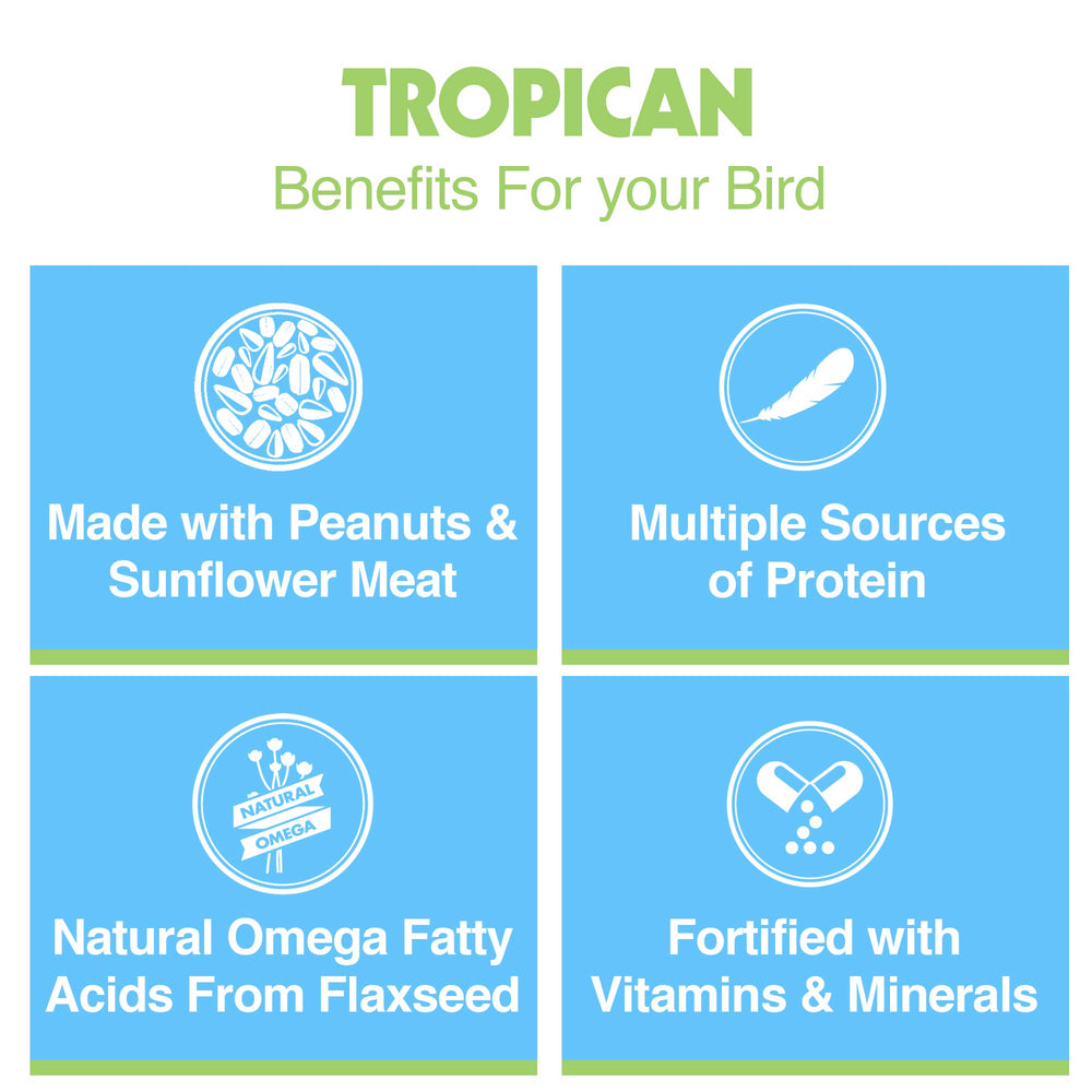 Serving bowl ready with Tropican parrot food for domestic use.