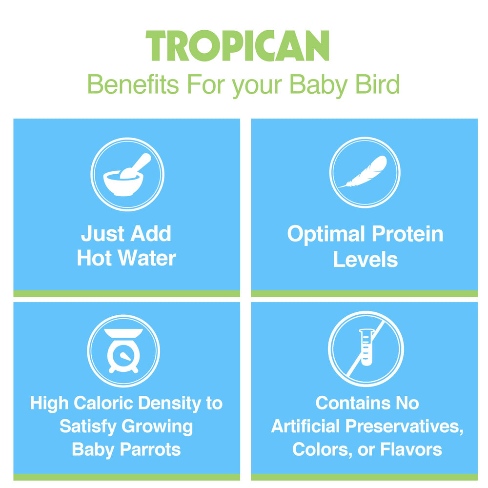 Hari Tropican nutrient-dense formula delivering essential grains and protein for growth.