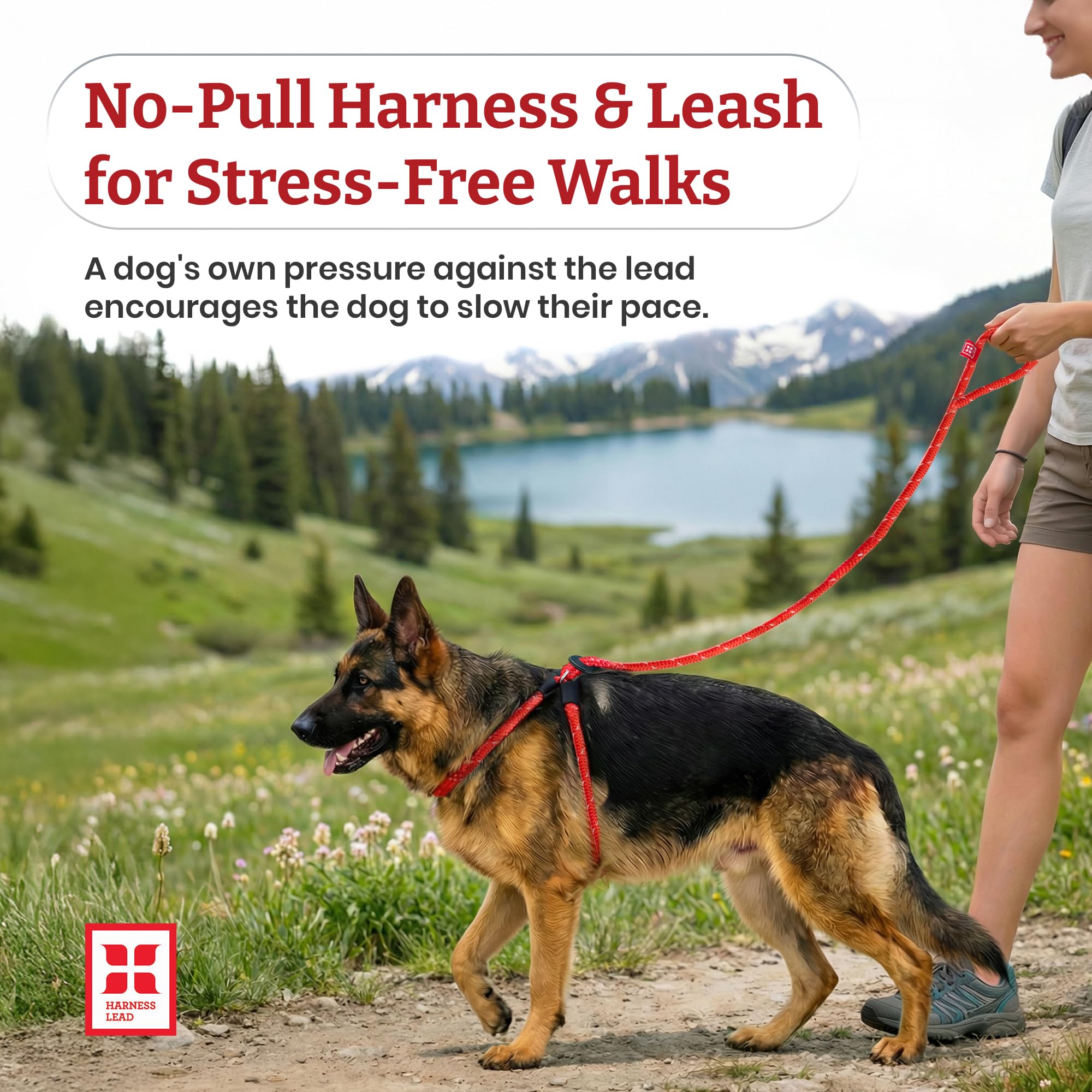 Harness Lead cushioned chest design prevents neck pressure during use.