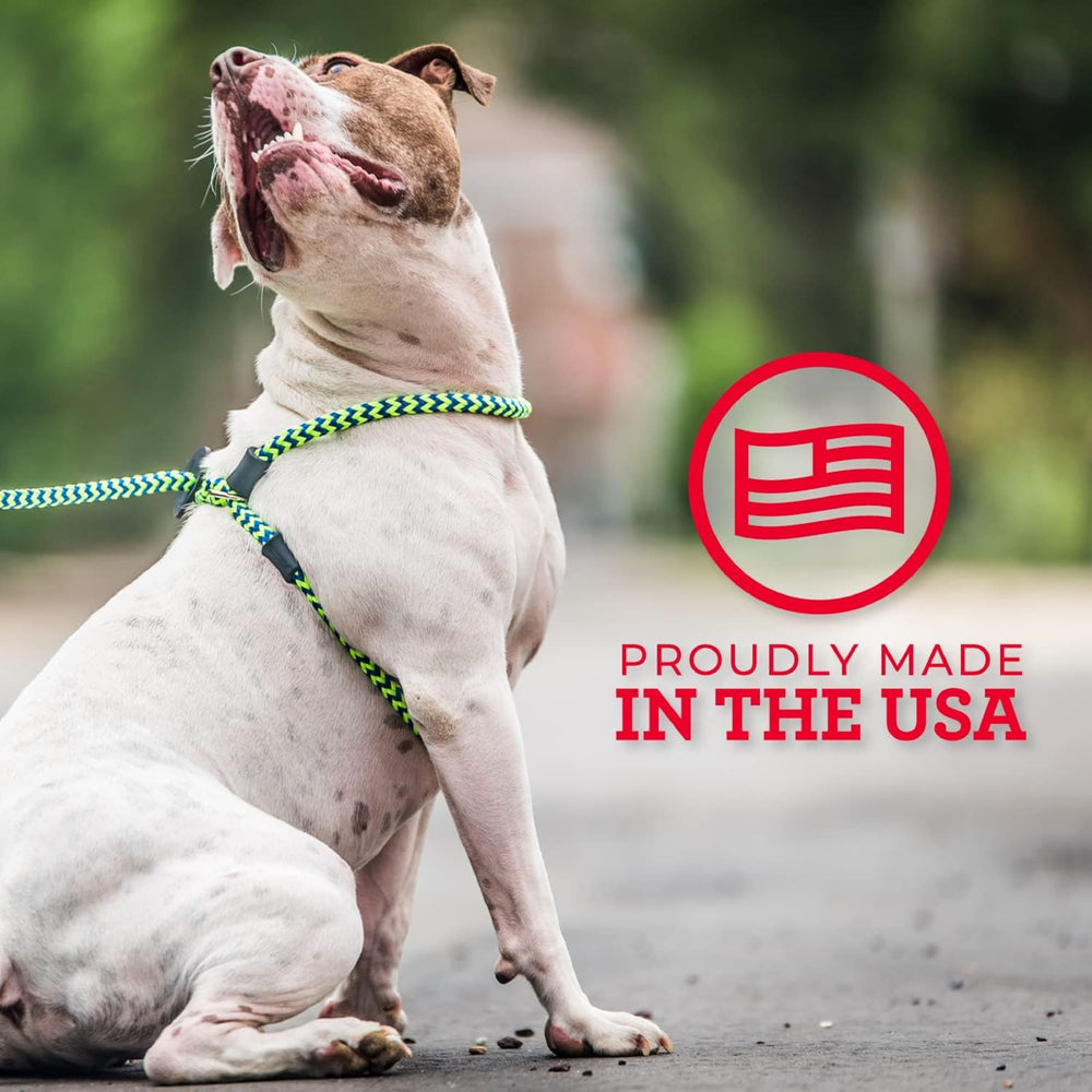 Harness Lead USA handcrafted design for responsible training