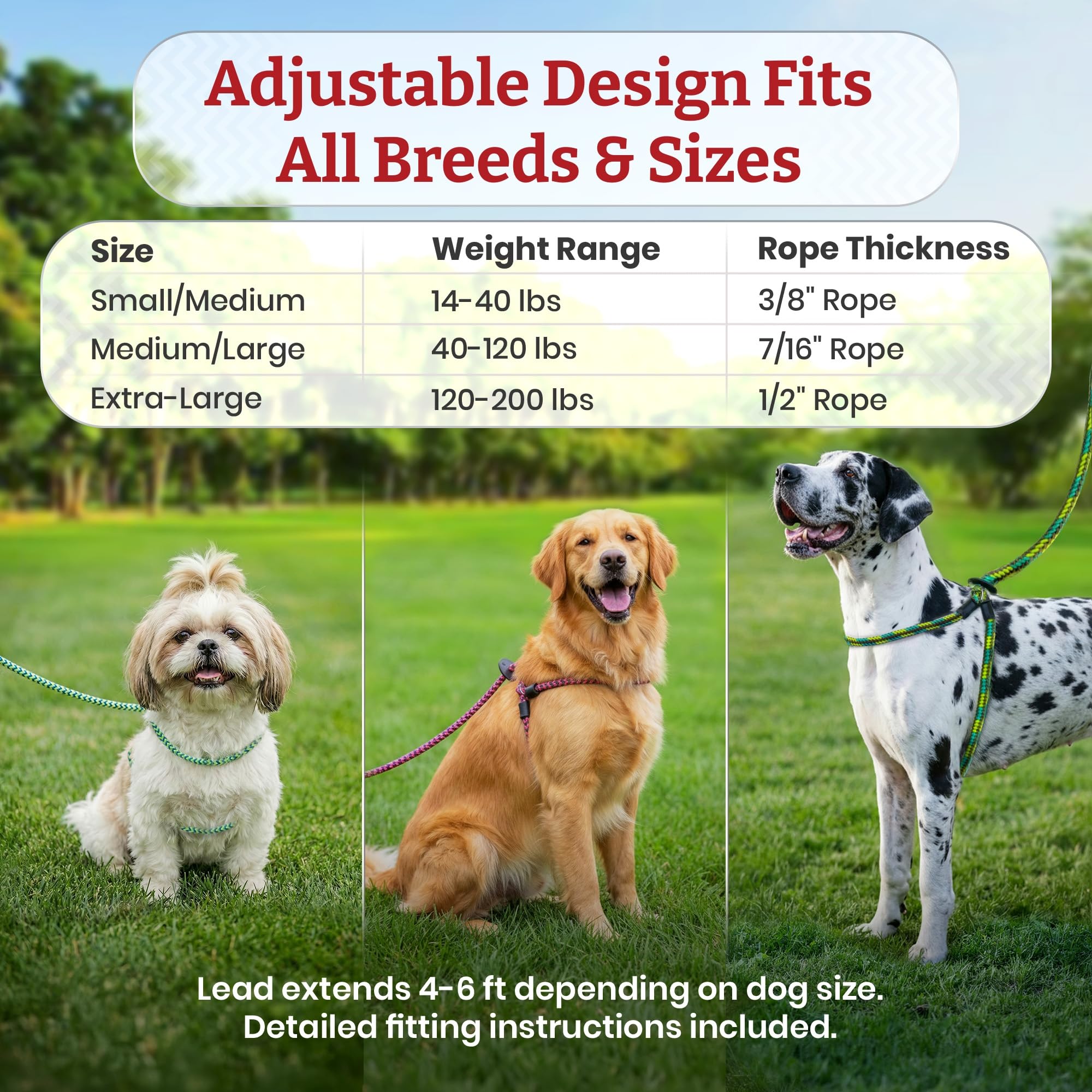 Harness Lead size guide and care instructions included.