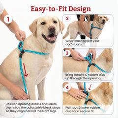 Harness Lead leash set rainforest padded chest for comfortable walks