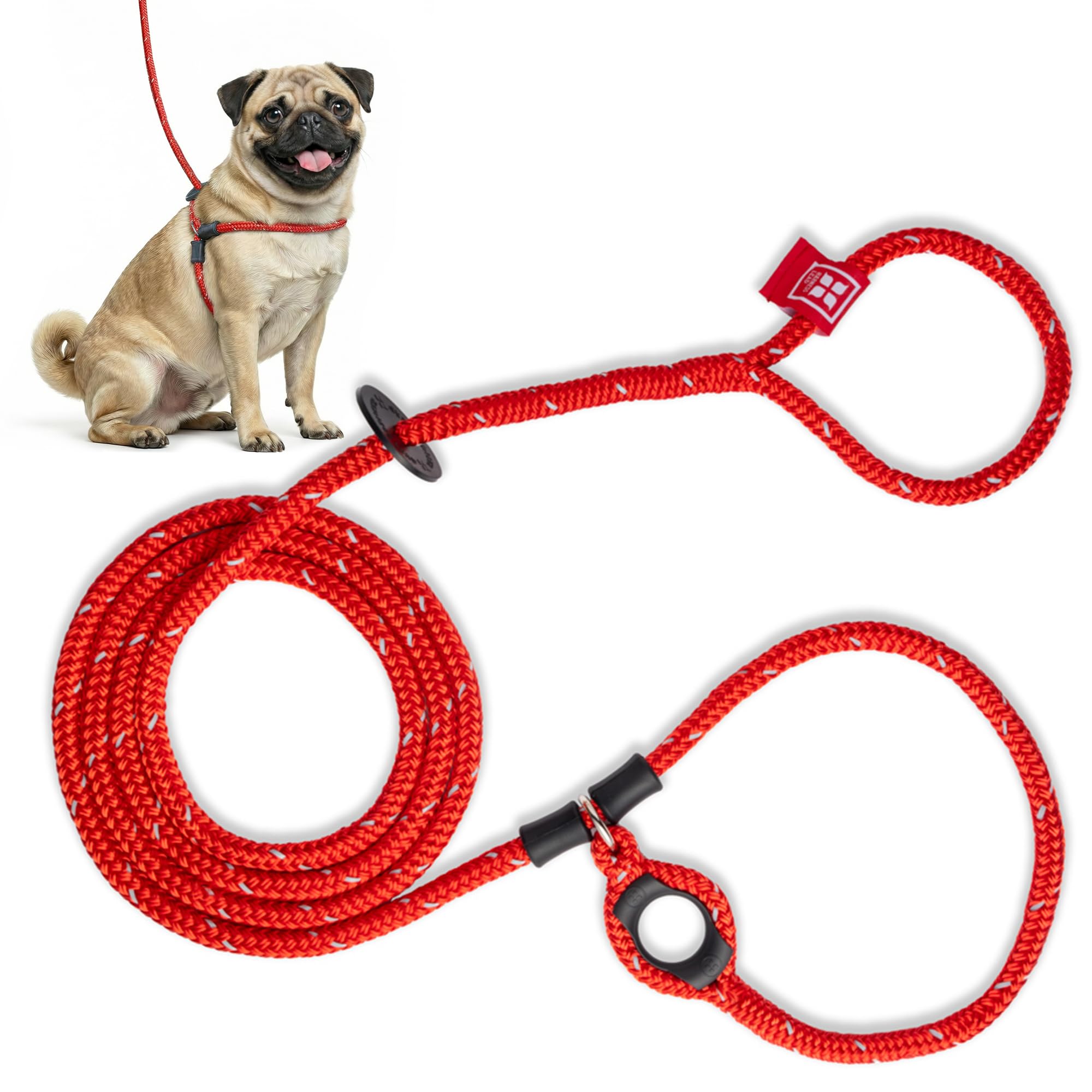 Harness Lead no-pull harness dog front view shows secure, comfortable fit.