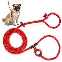 Harness Lead no-pull harness dog front view shows secure, comfortable fit.