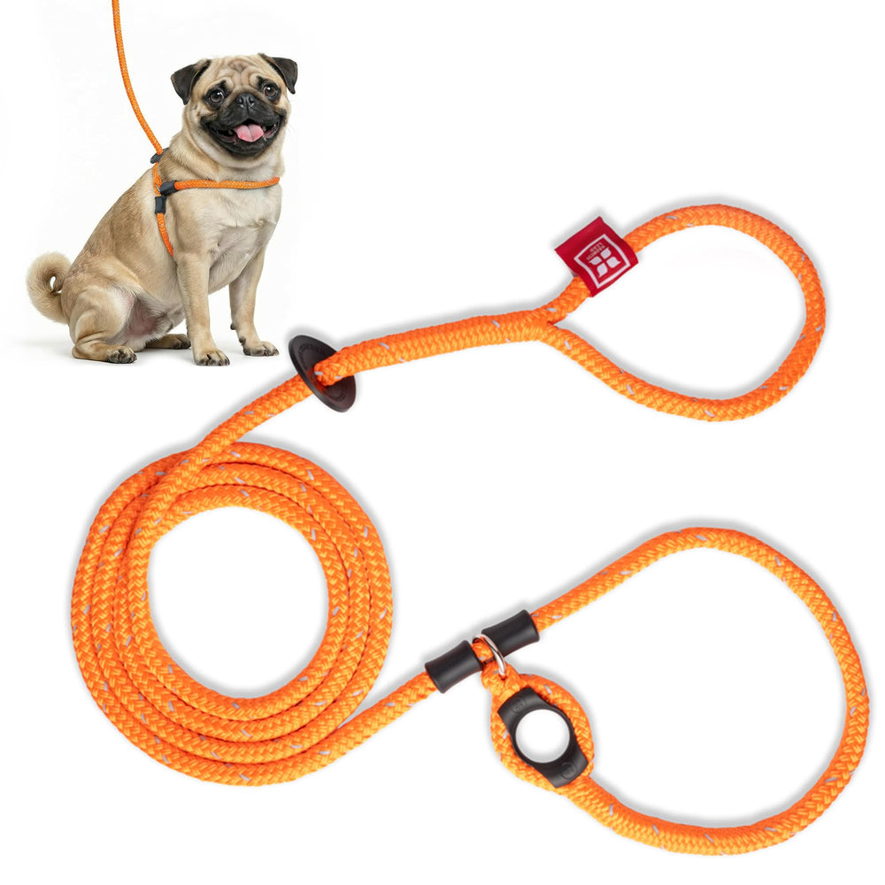 Harness Lead no pull harness front clip for calm, controlled walks.