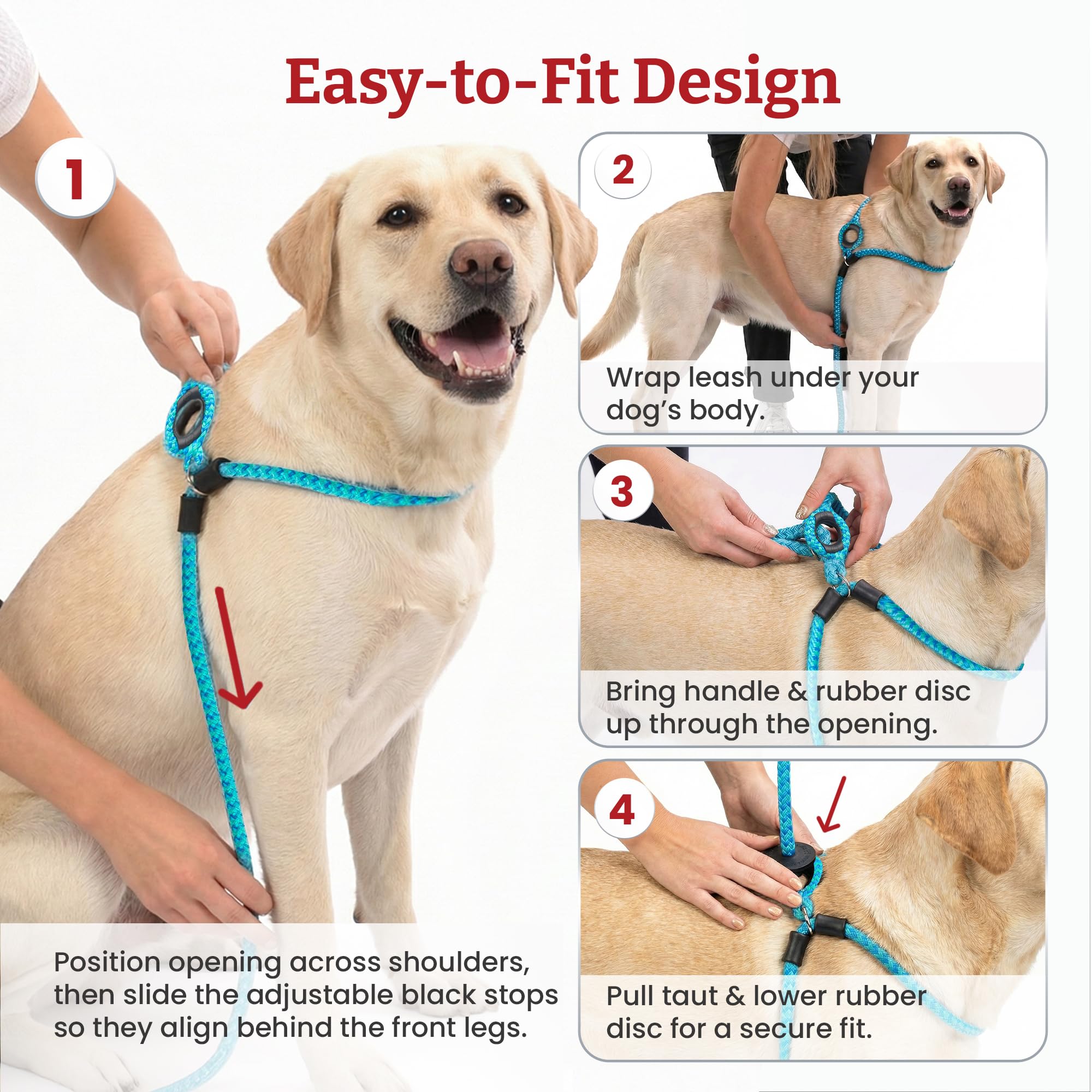 Harness Lead reflective rope improves visibility during night walks.