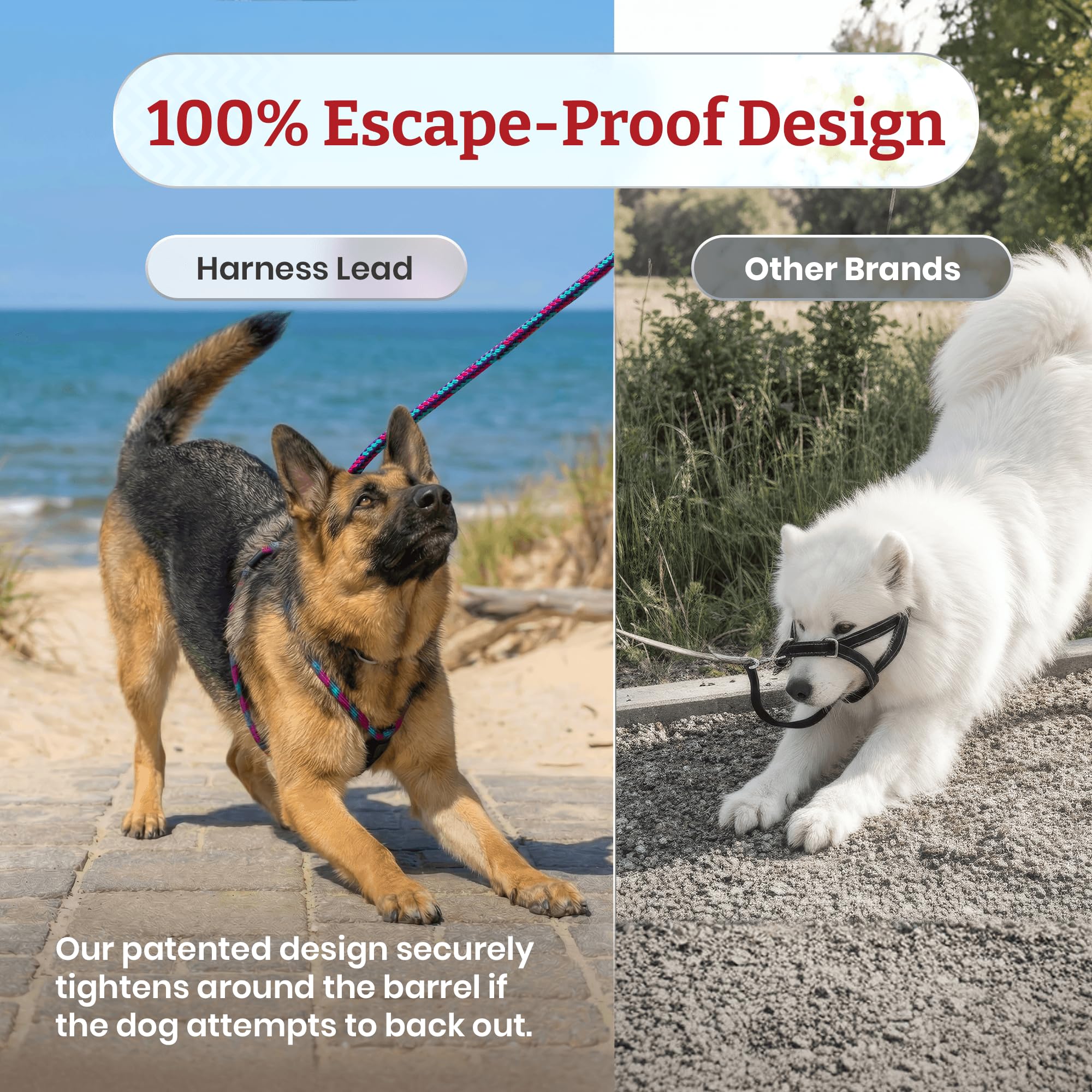Harness Lead usa-made pink harness highlights craftsmanship and safety.