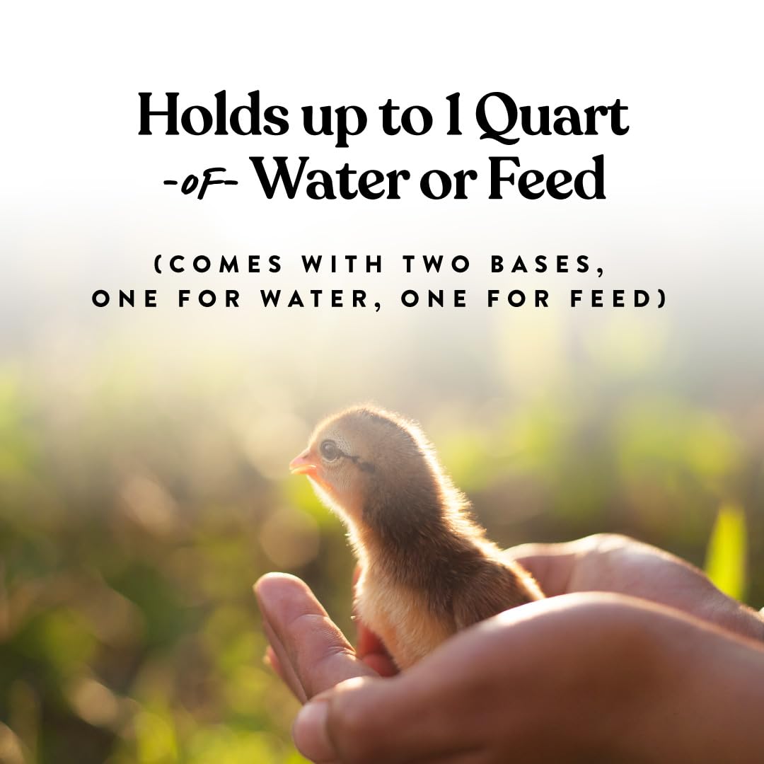 Harris Farms 2qt jar water ensuring steady hydration for chicks.