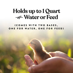 Harris Farms 2qt jar water ensuring steady hydration for chicks.