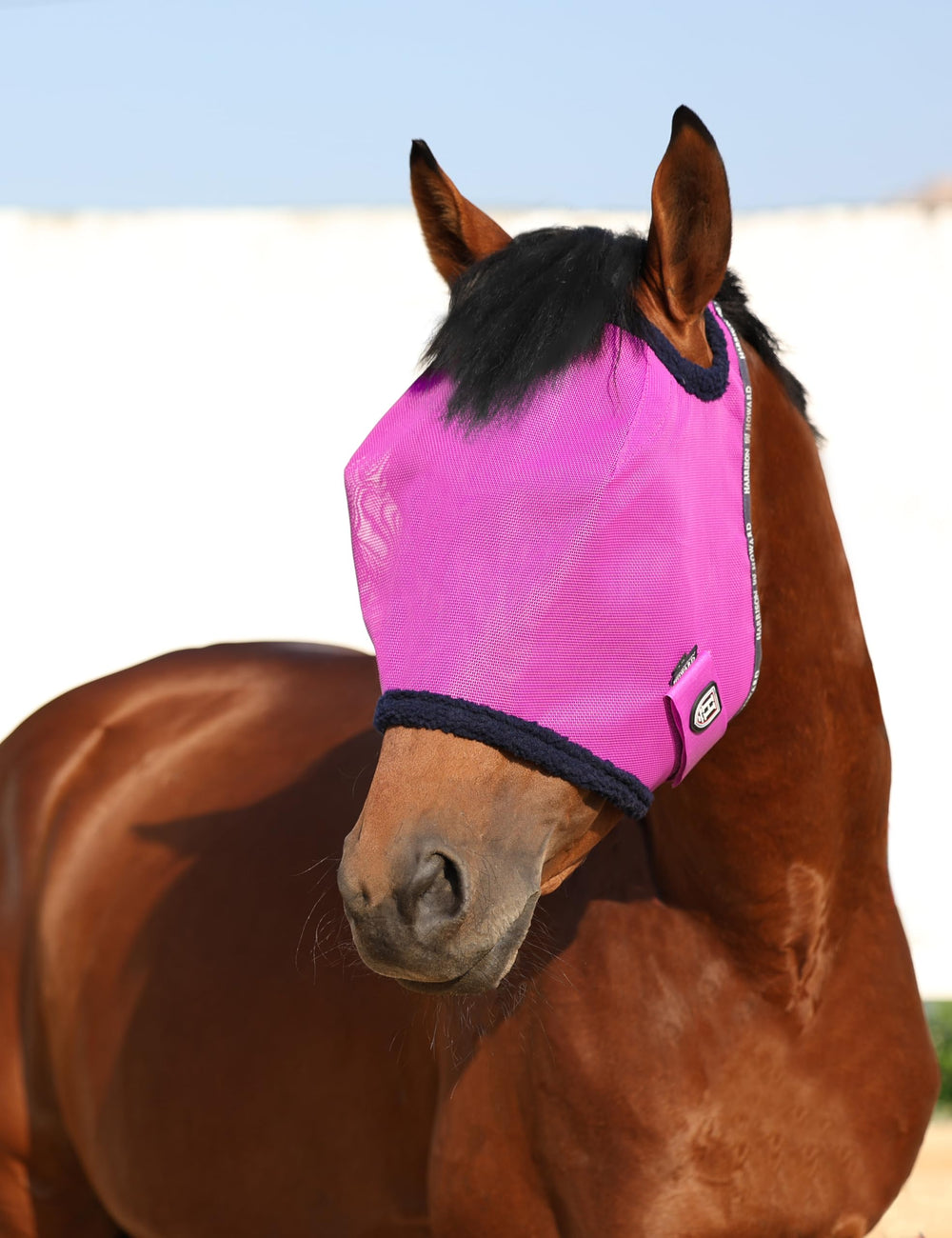 Harrison Howard mesh fly mask ideal for summer riding and turnout.
