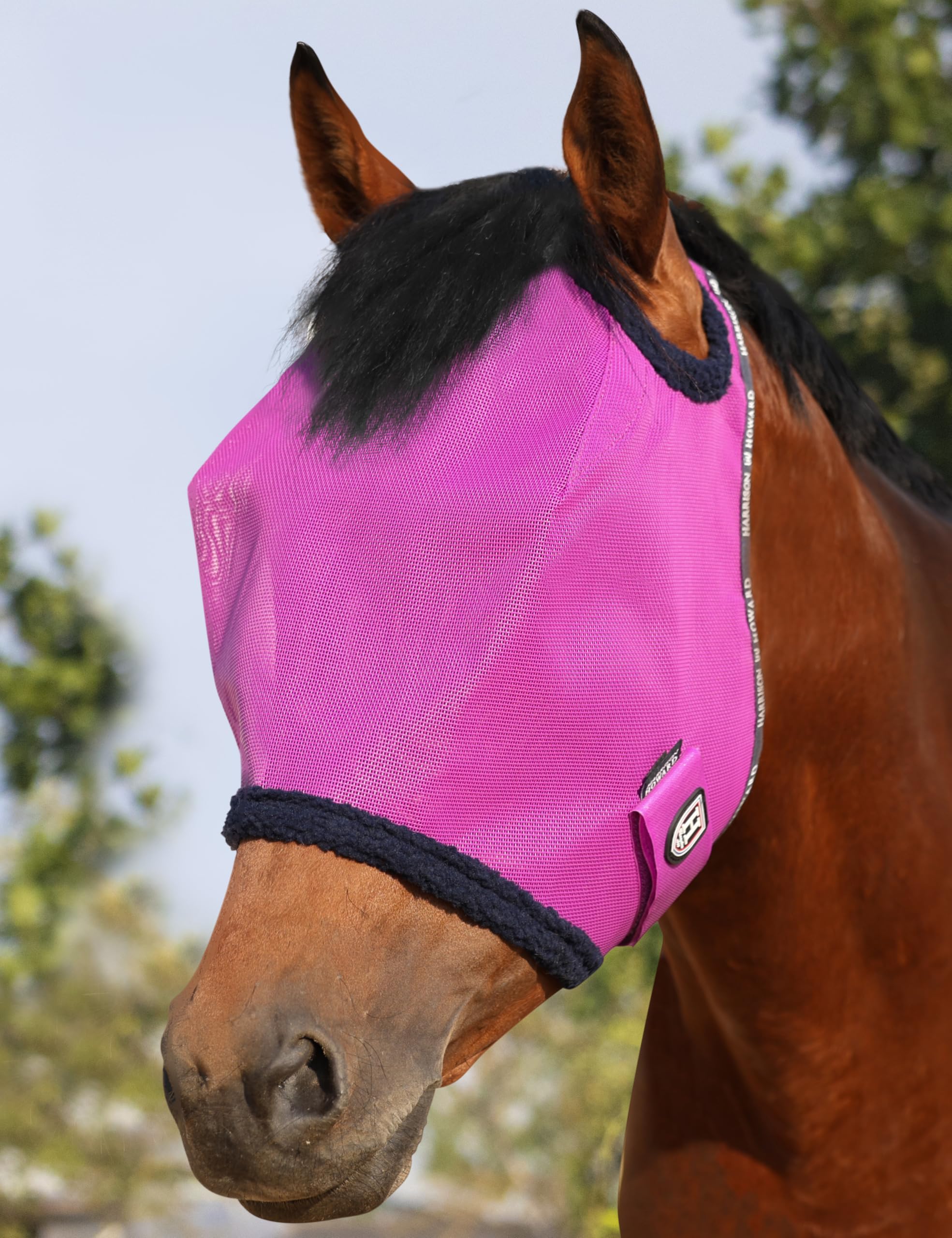 Harrison Howard All Round Mesh Fly Mask front view with purple trim providing UV protection.