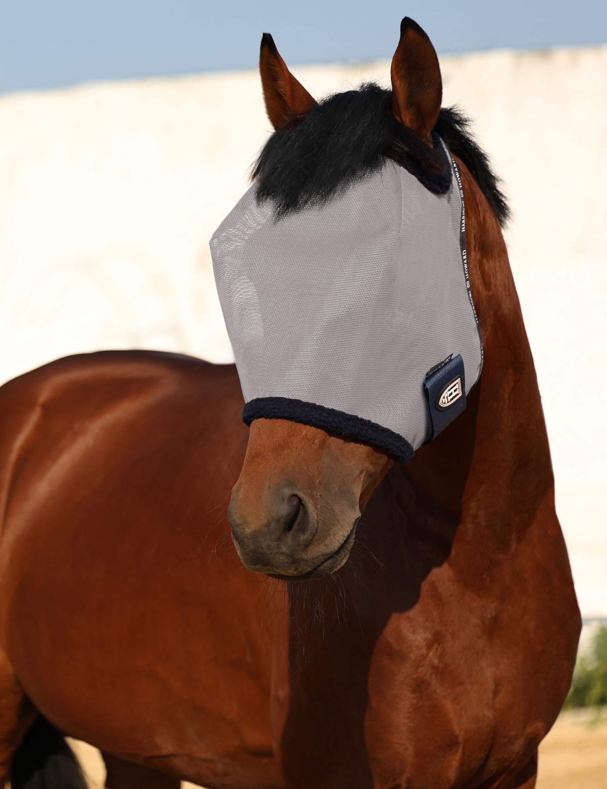 Harrison Howard all round mesh fly mask worn on horse silhouette during activity