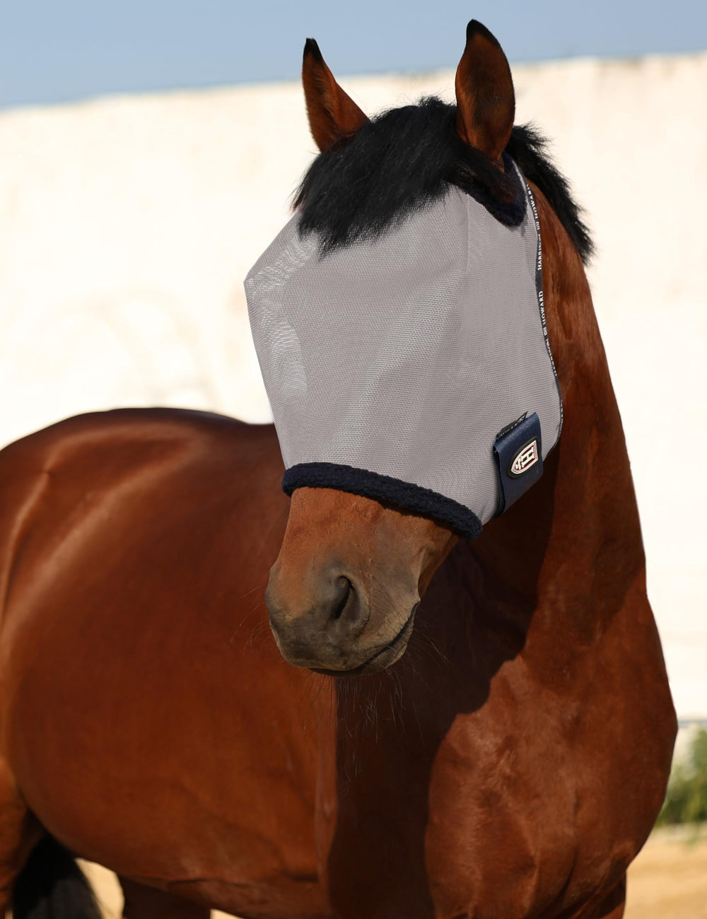 Harrison Howard all round mesh fly mask worn on horse silhouette during activity