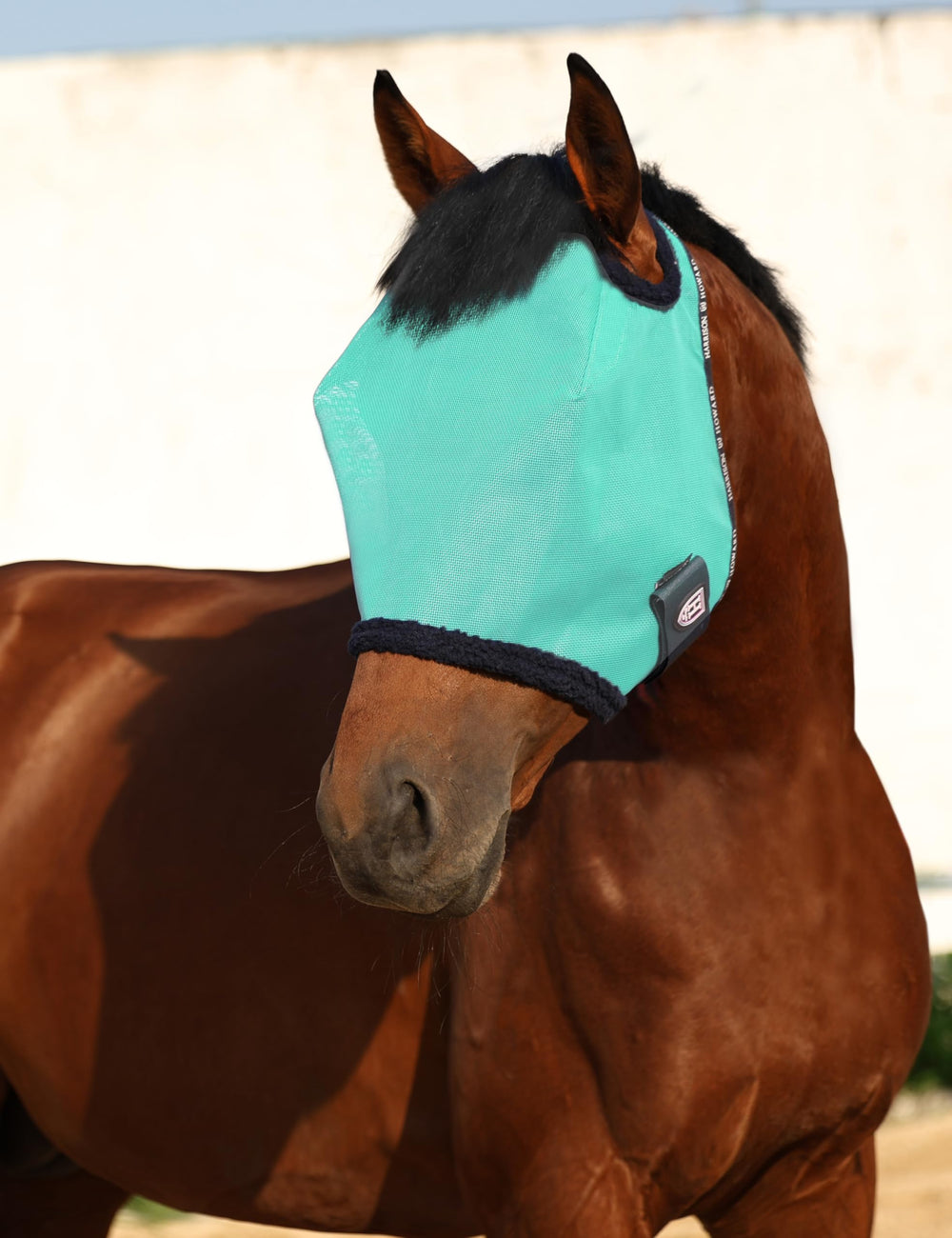 Harrison Howard All Round Mesh Fly Mask summer use ideal for controlling irritants on sunny days.