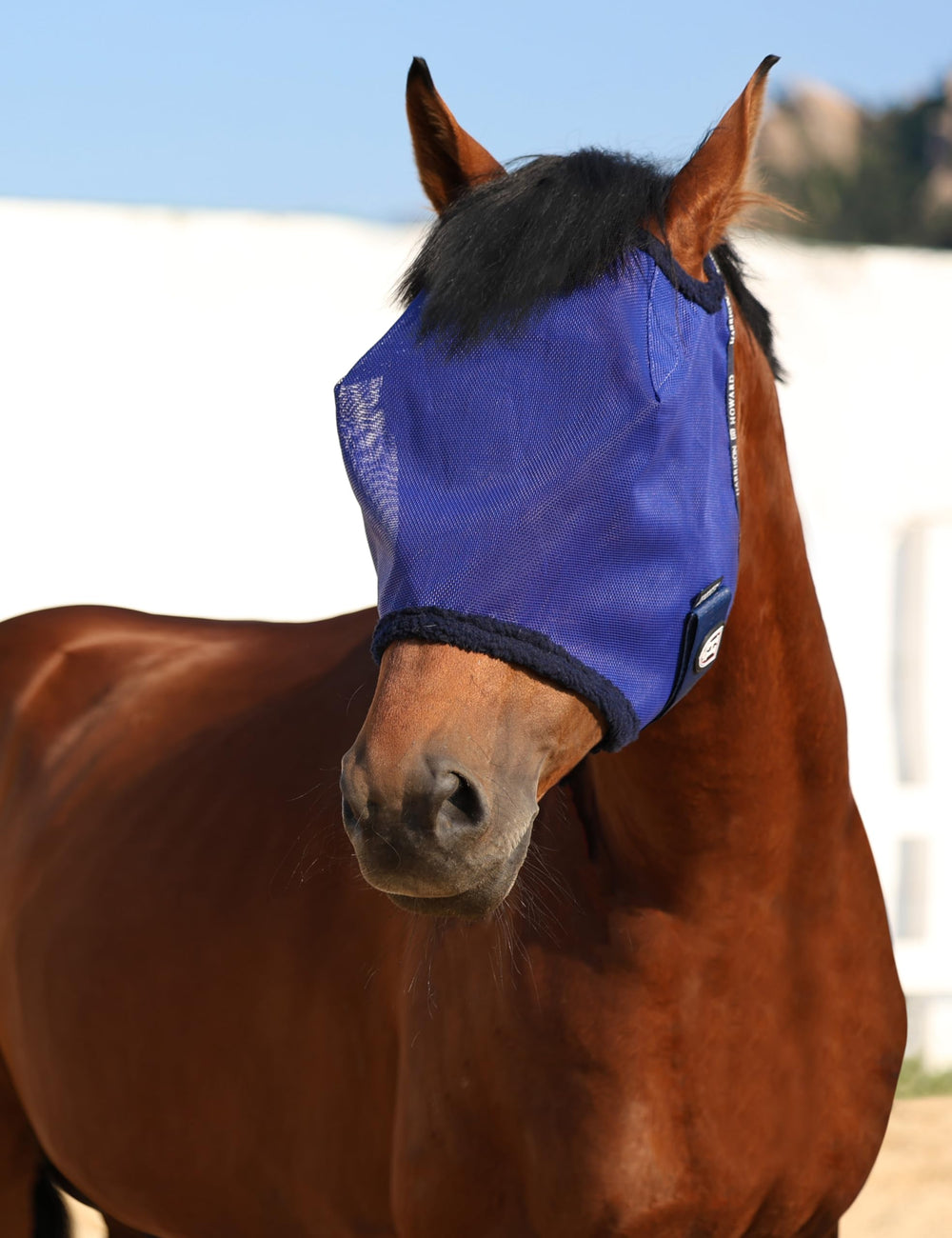 Harrison Howard mask ready for summer turnout and nuisance protection