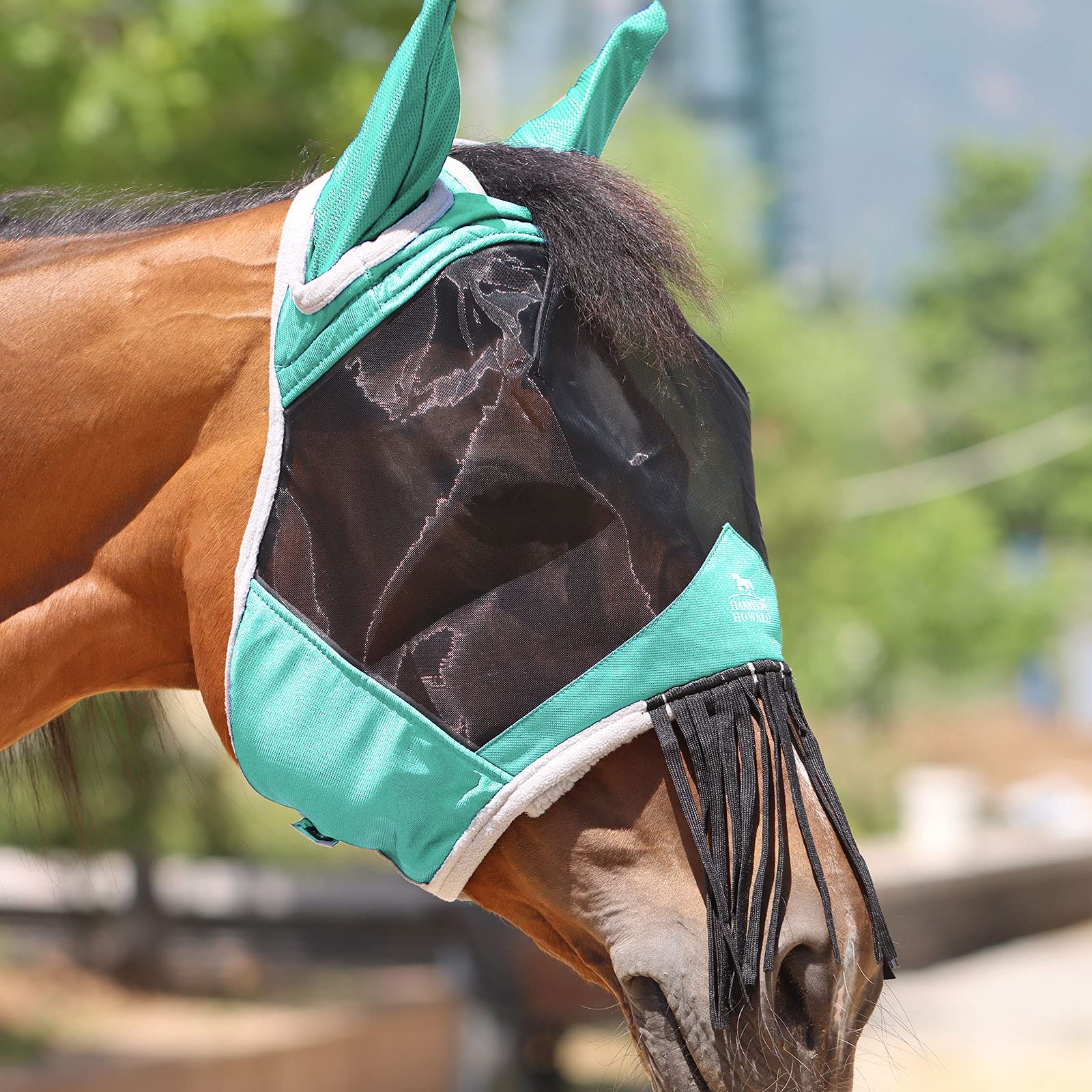 Harrison Howard CareMaster close-up of ears and nose fringe detailing and secure fit.