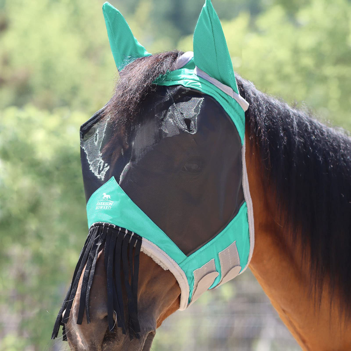 Harrison Howard CareMaster horse fly mask full view demonstrates secure, comfortable protection during rides.