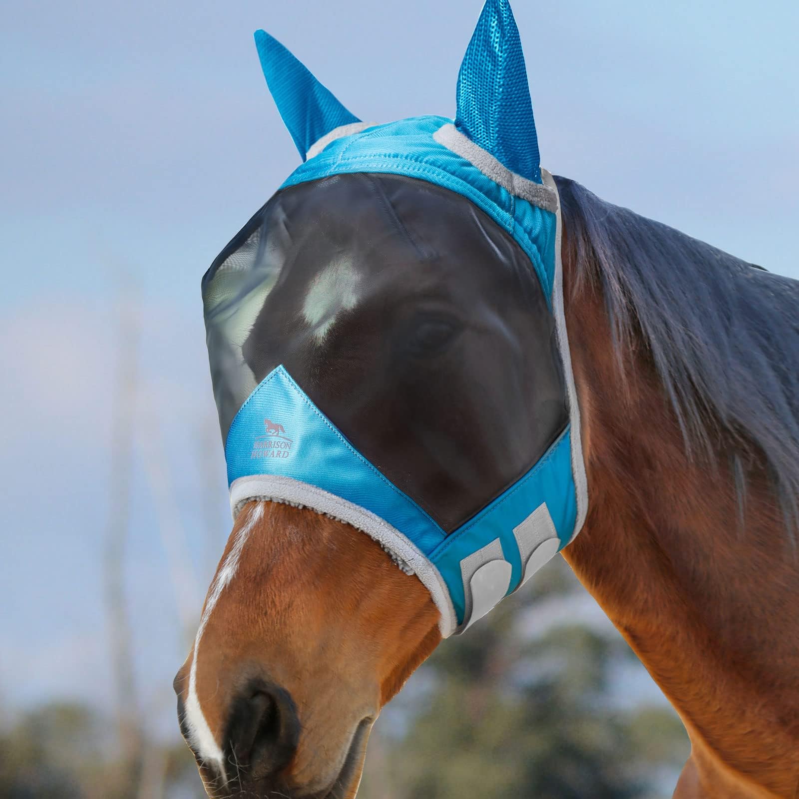 Harrison Howard CareMaster Pro fly mask close-up eye area, offering visibility and UV protection.