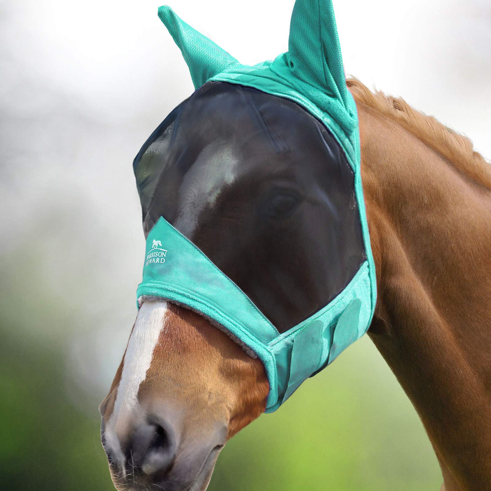 Harrison Howard CareMaster Pro mint fly mask, large eye space, comfortable fit for daily wear