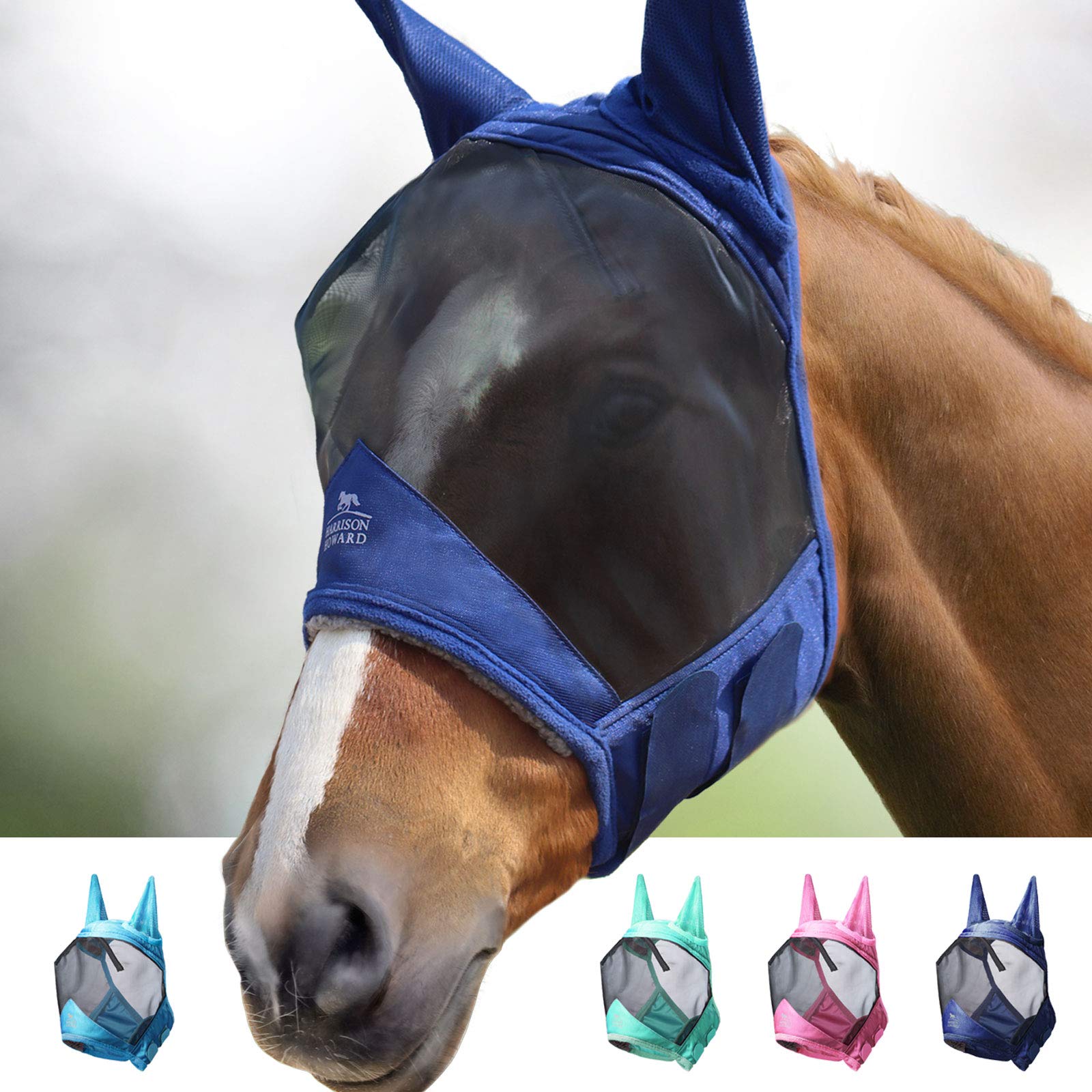 Harrison Howard CareMaster Pro mask on horse for secure, comfortable wear