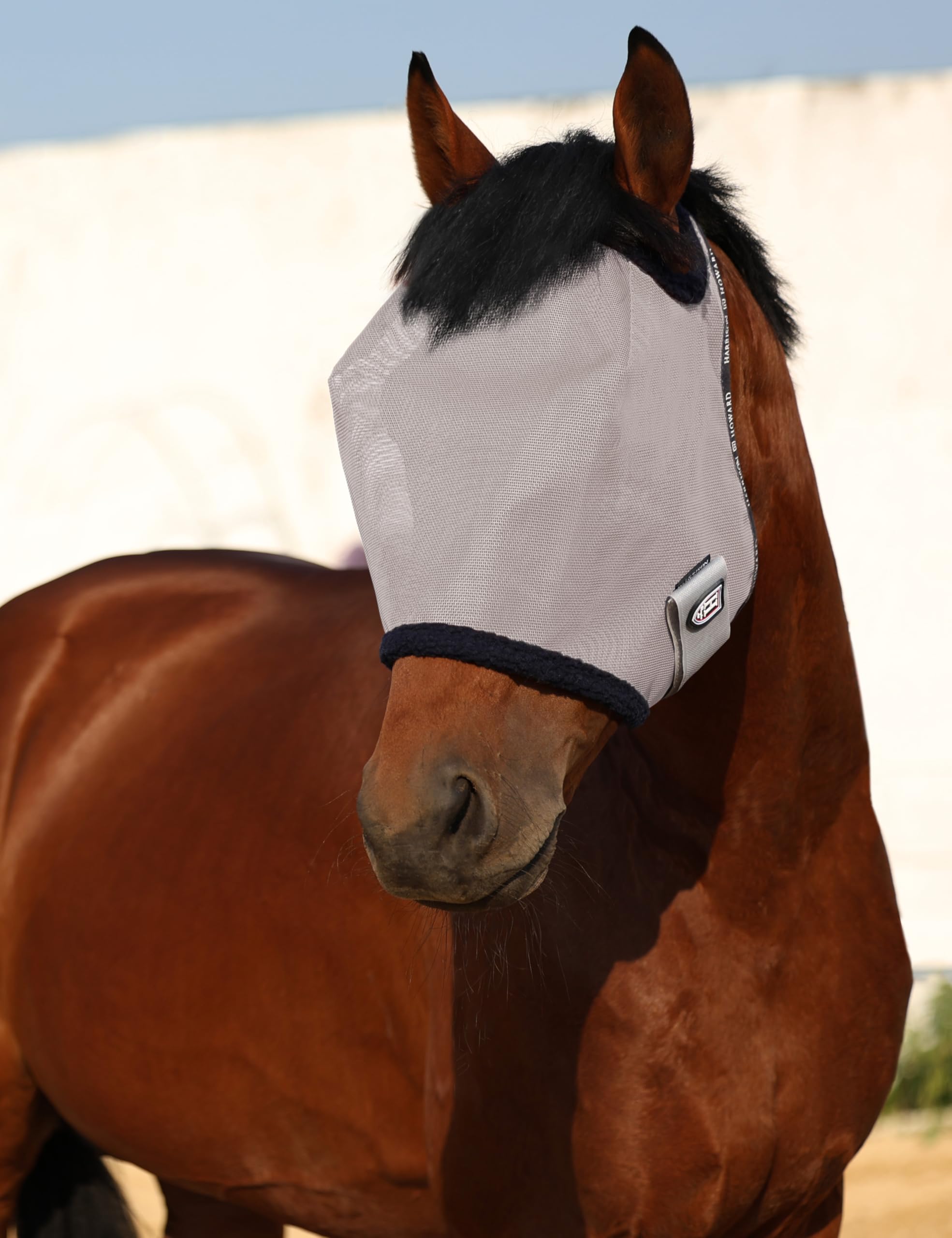 Harrison Howard fly mask worn on horse demonstrates comfortable fit during turnout