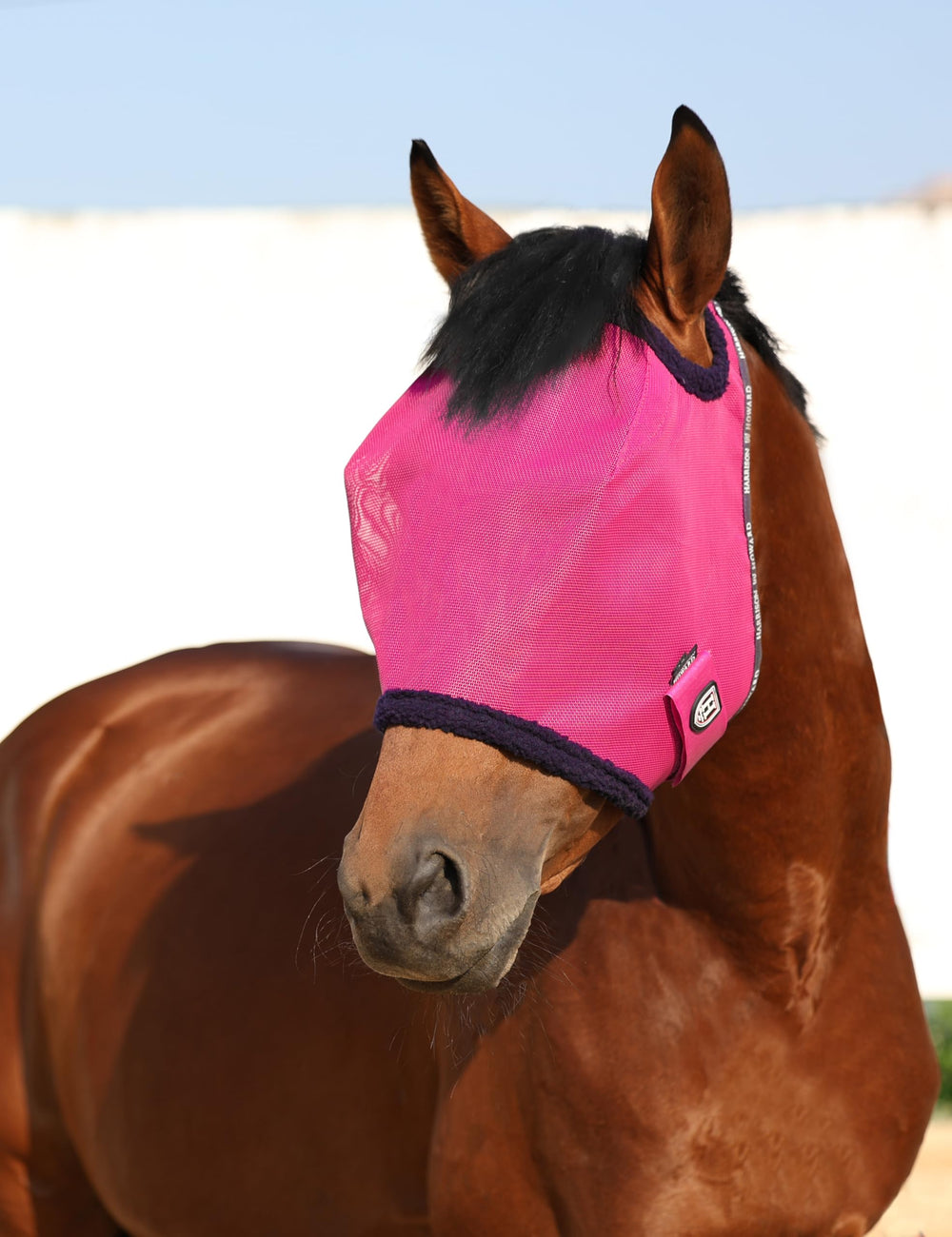 Harrison Howard magenta-edged mesh mask adds visibility and style while protecting the head.