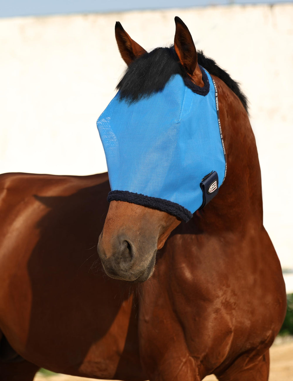 Harrison Howard sky blue mask adds summer-ready color and comfort