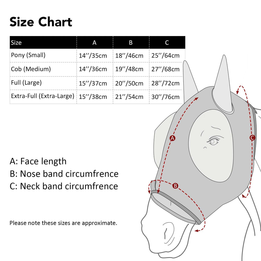 Harrison Howard azure blue full-size mask on a large horse.