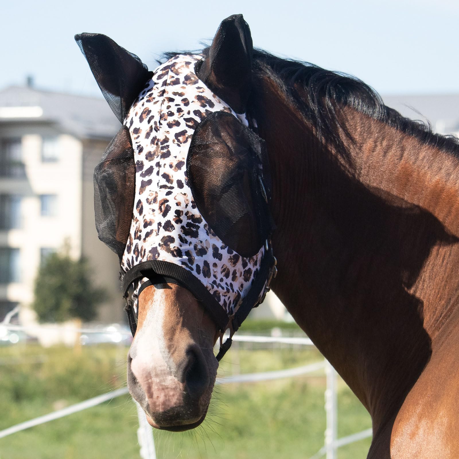 Harrison Howard fly mask with large eye space and UV protection for clear vision