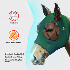 Harrison Howard Fly Mask offering UV protection in bright sun for horse comfort.