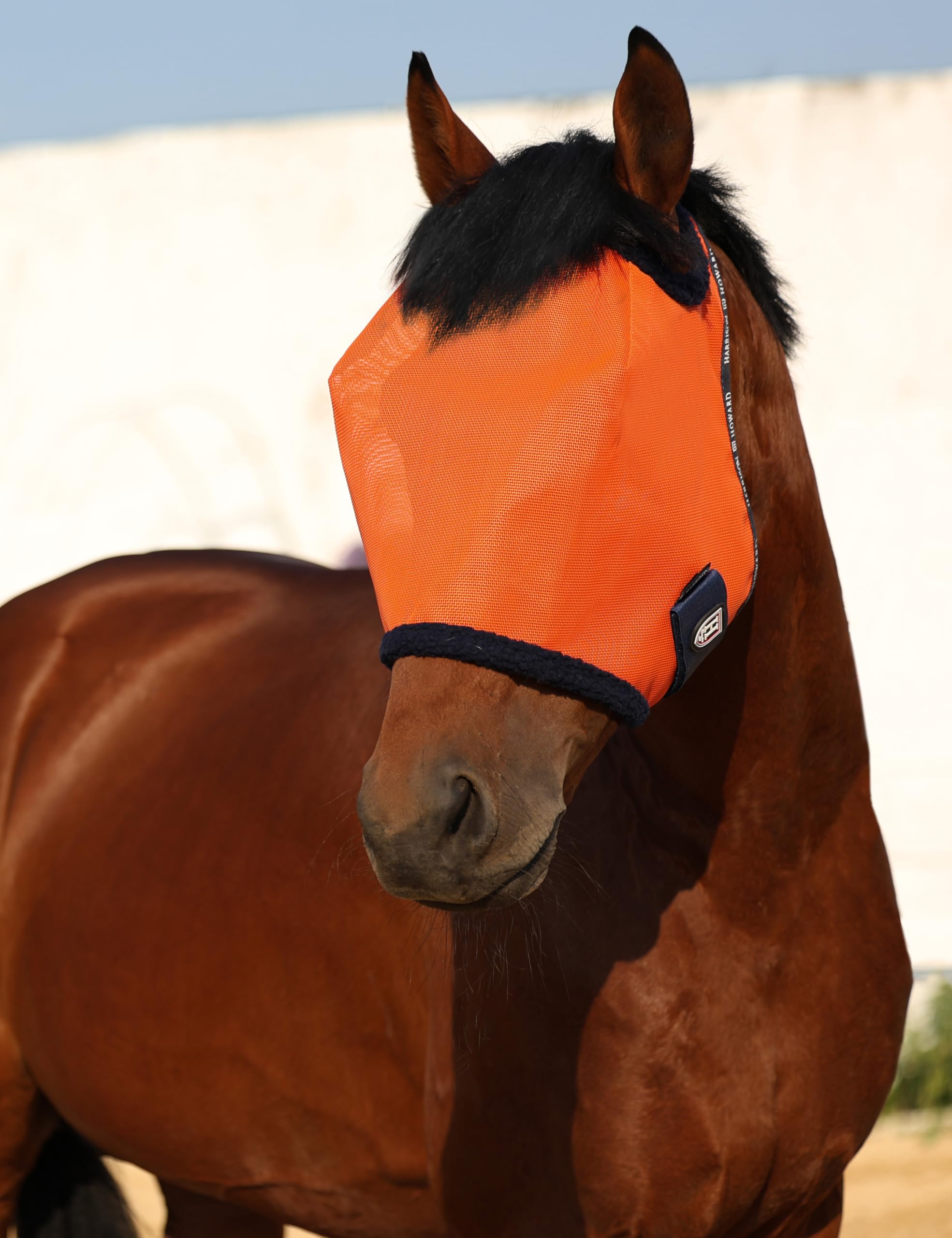 Harrison Howard vibrant orange mask on horse for visibility