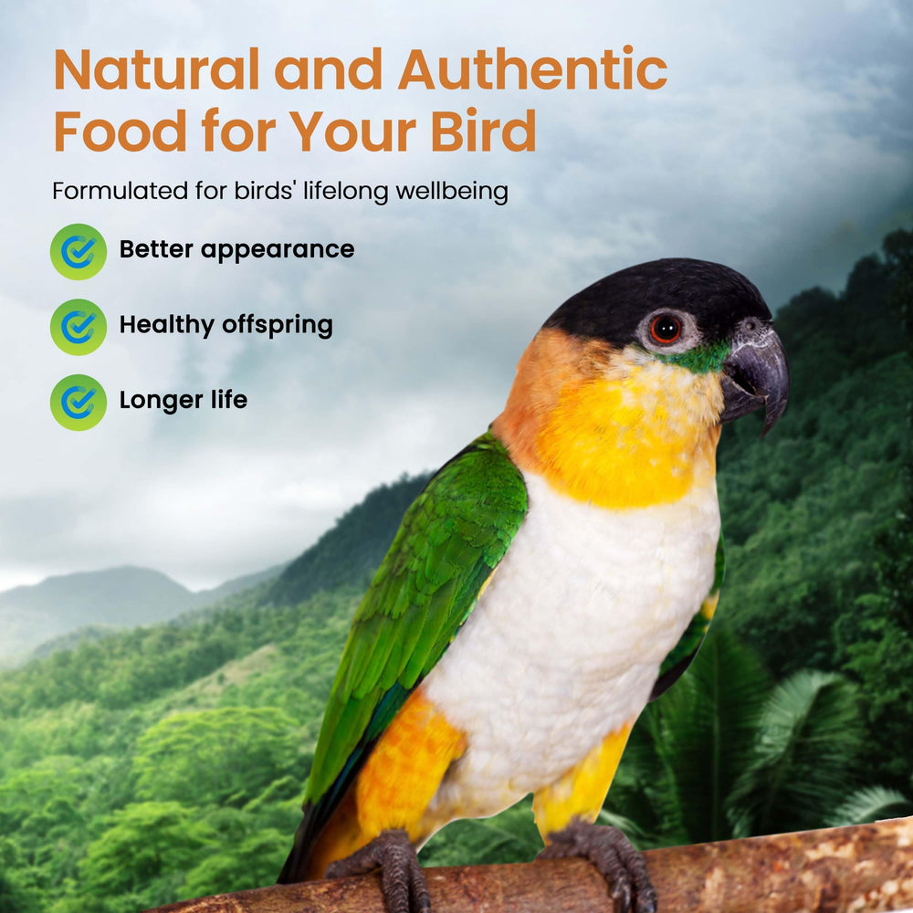 Birds enjoy Harrison's High Potency Fine pellets as part of their daily feeding.