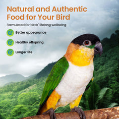 Birds enjoy Harrison's High Potency Fine pellets as part of their daily feeding.