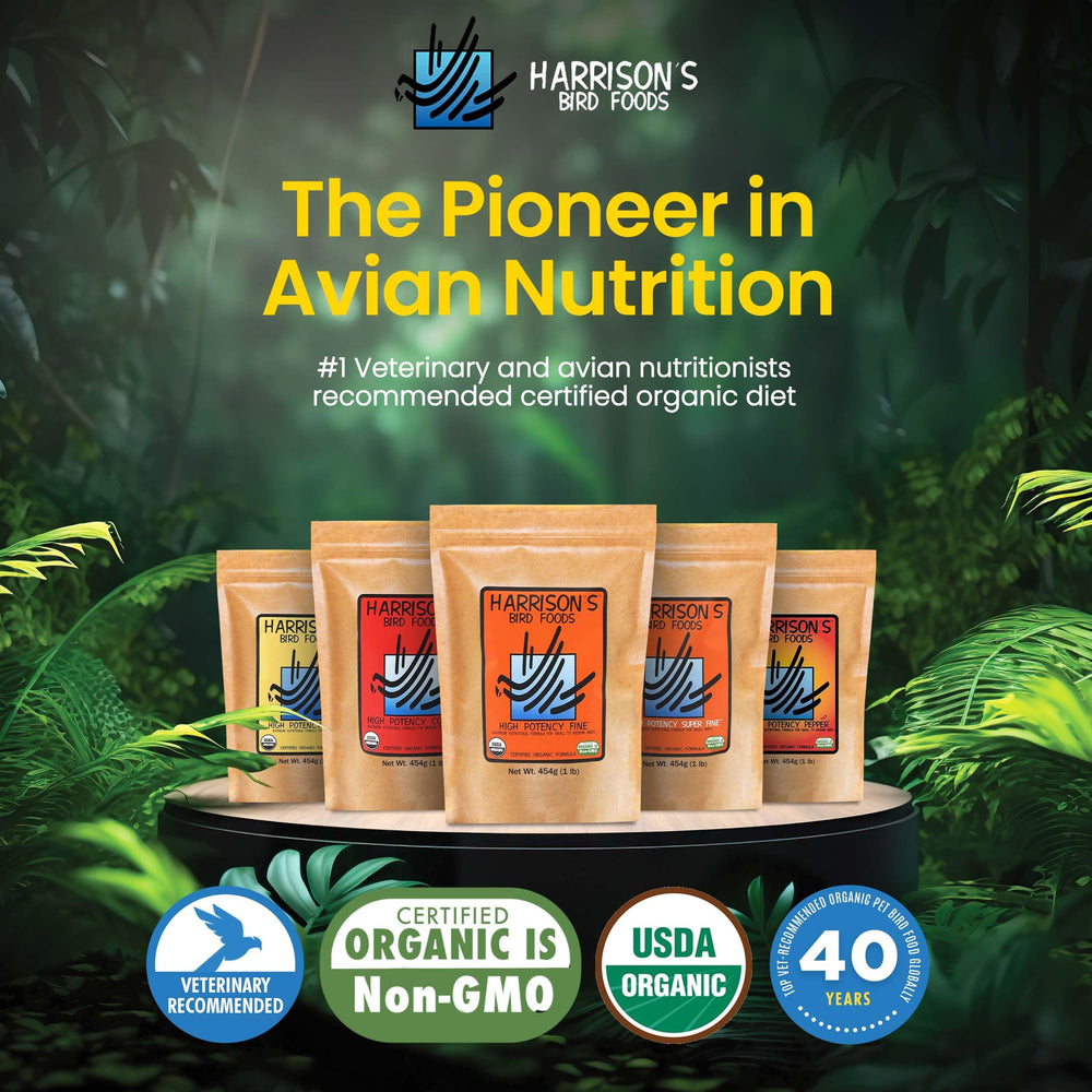 Closeup of Harrison's High Potency Fine pellets reveals natural grains and texture.