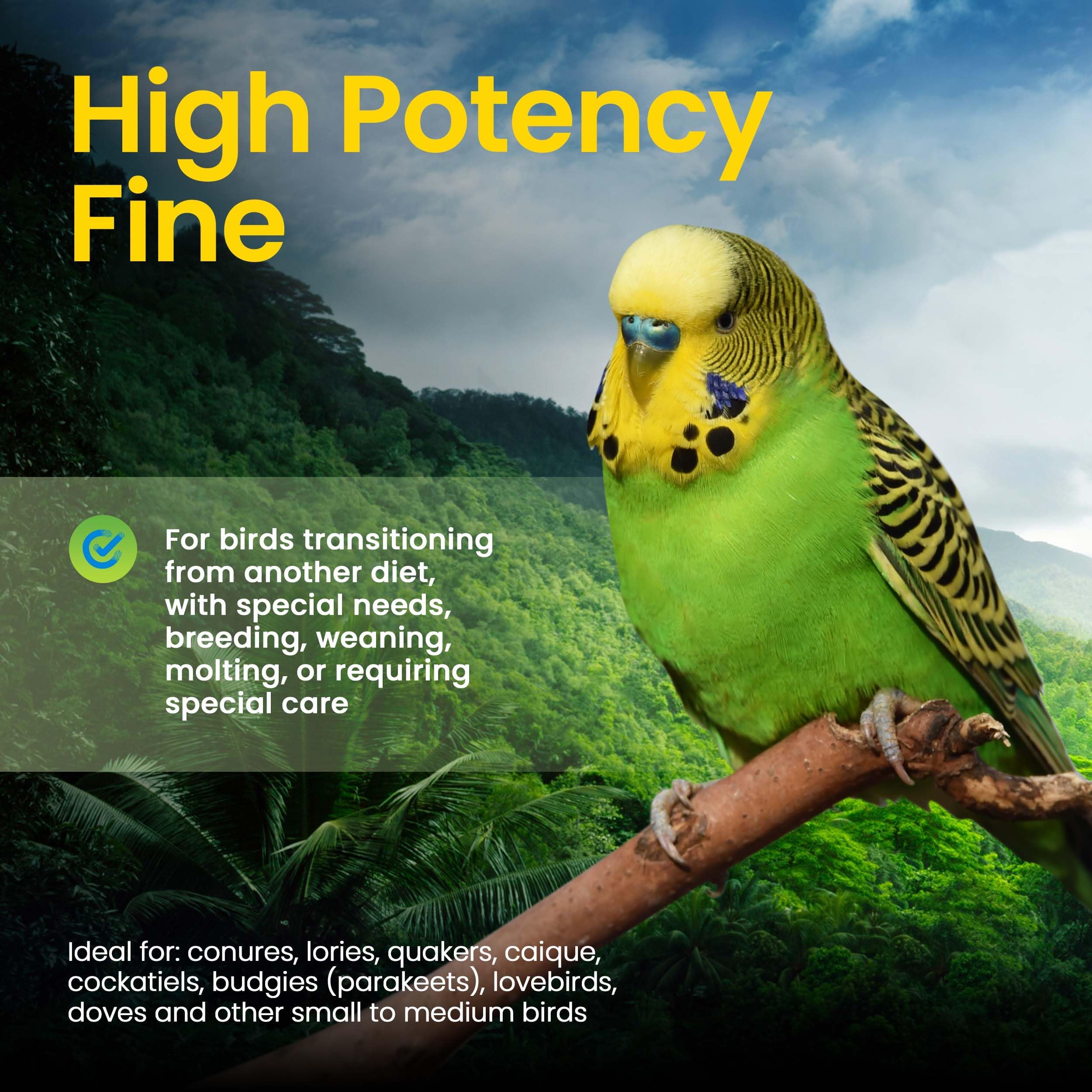 Small birds fed Harrison's High Potency Fine show a varied diet option.