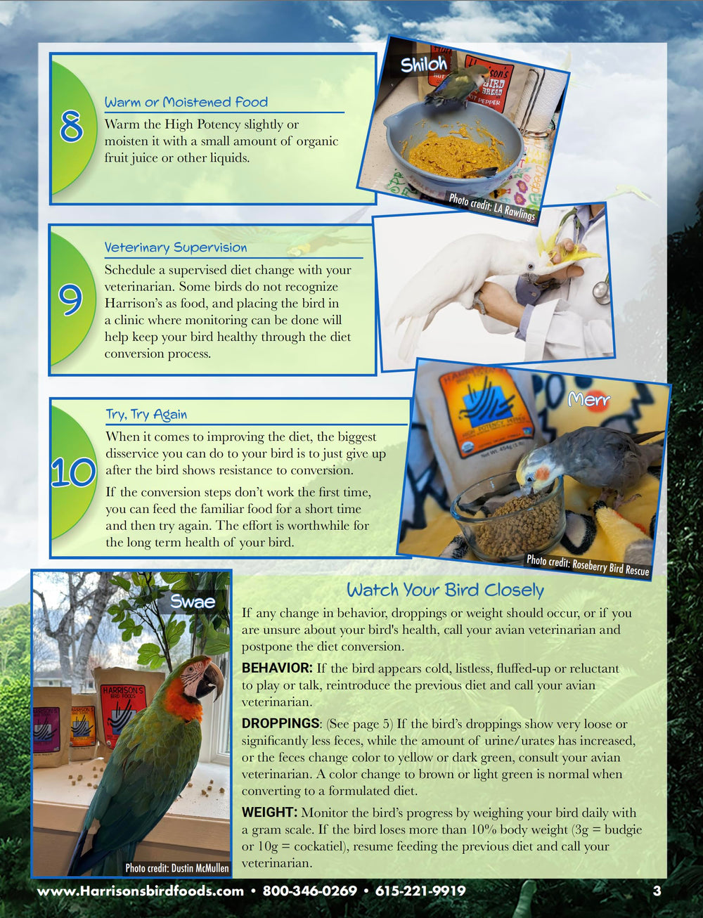 Parrot in cage being fed Harrison's maintenance formula
