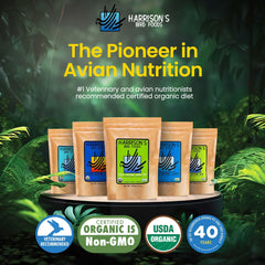 Graphic emphasis on Harrison's omega-3 and omega-6 balance for healthy feathers.