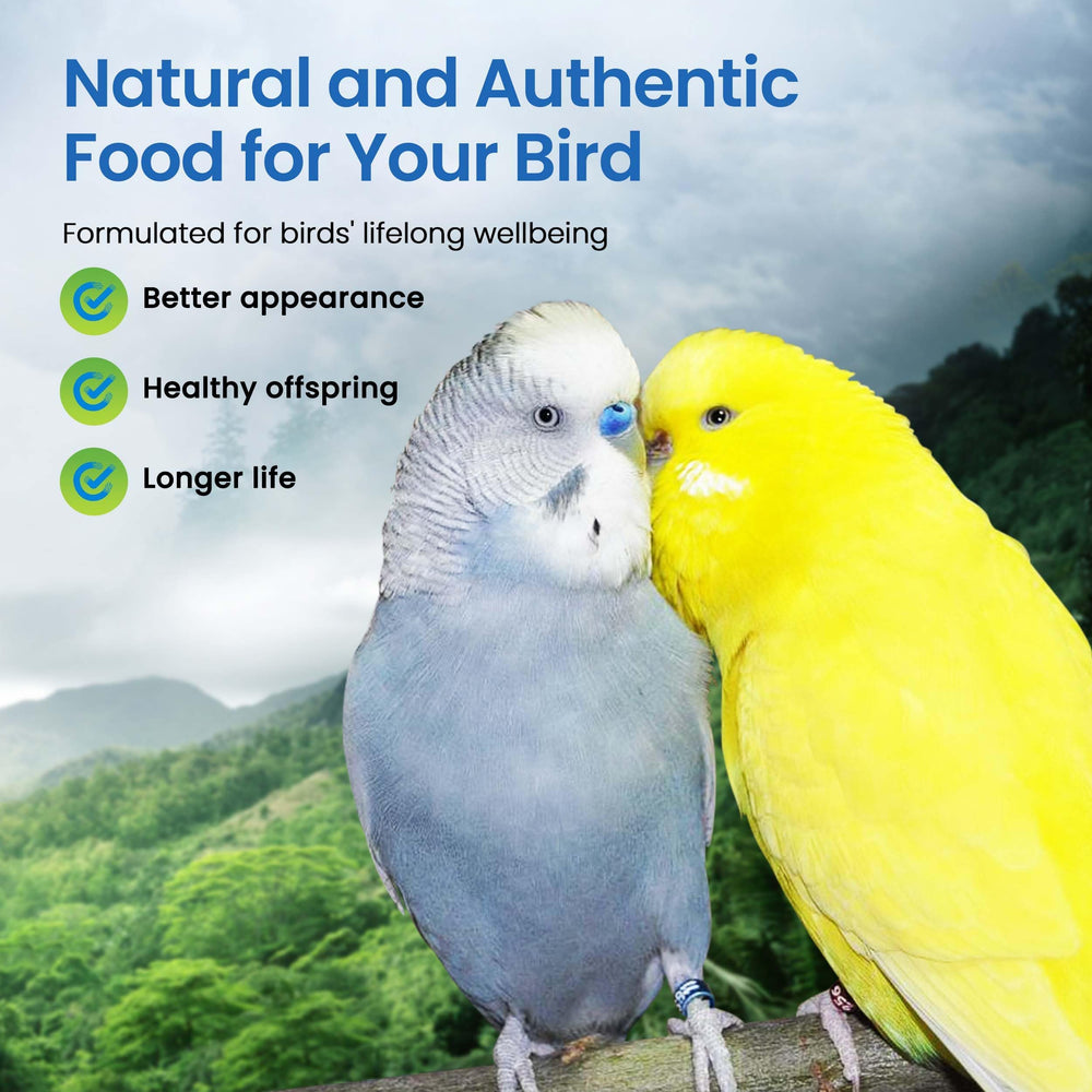 Harrison's Adult Lifetime Mash for budgies promotes year-round maintenance