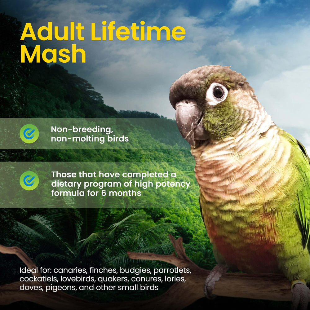 Harrison's Adult Lifetime Mash for canaries and doves highlights versatile diet