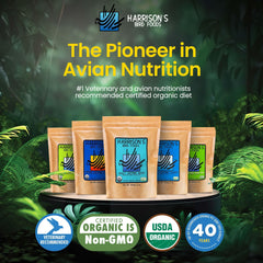Harrison's Adult Lifetime Mash texture close-up shows natural ingredients