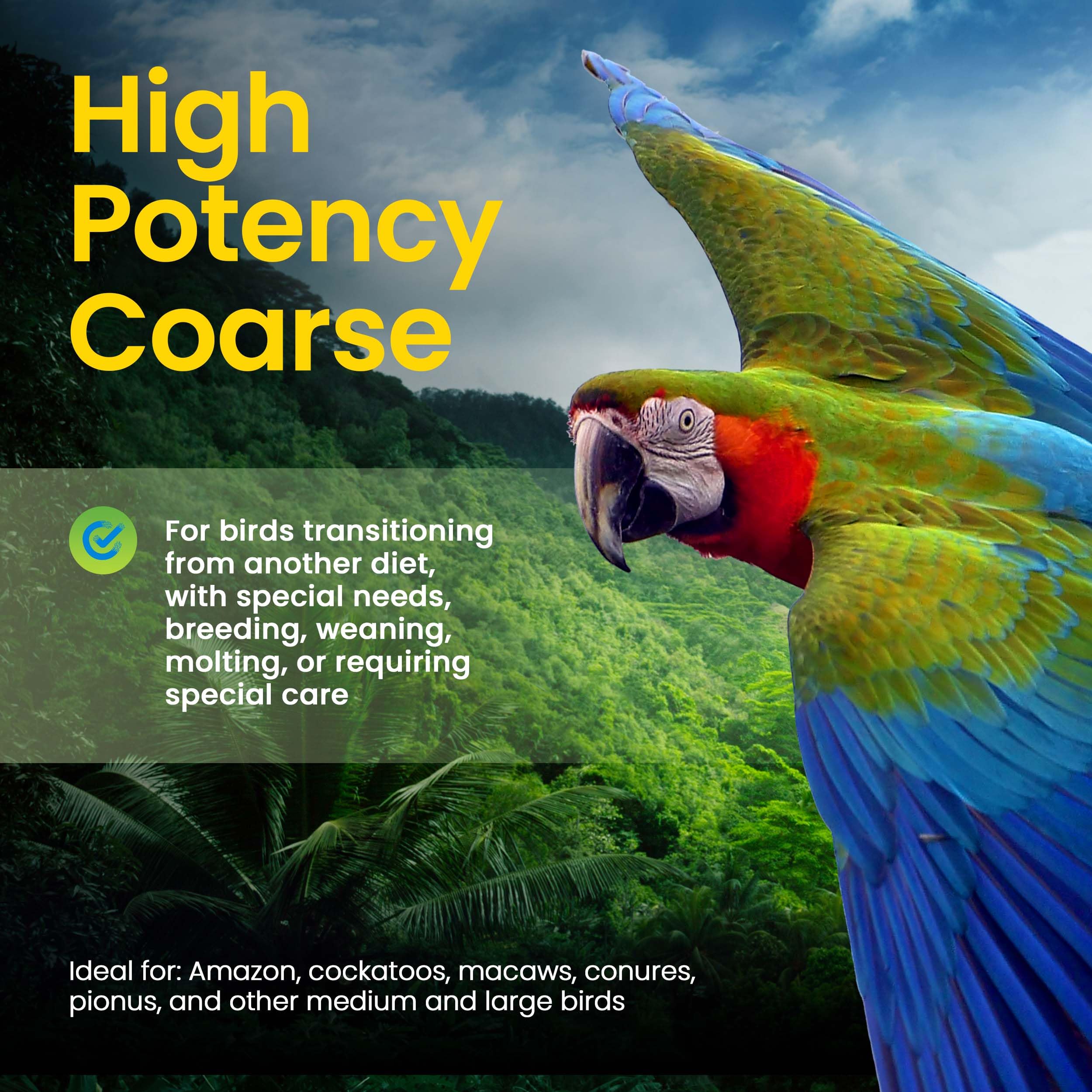 Harrison's High Potency Coarse bird feeding parrot image highlights versatile diet for parrots.