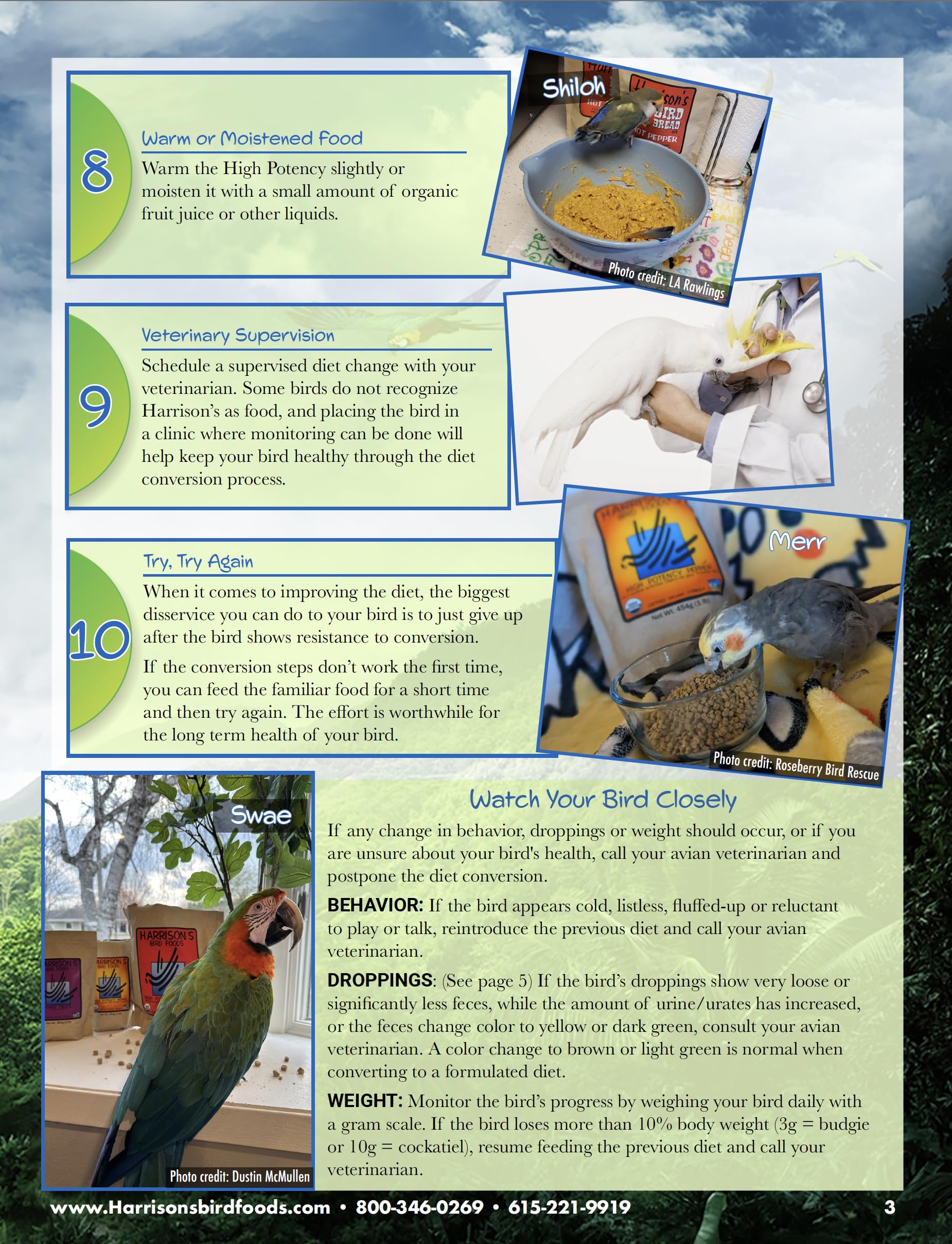 Harrison's High Potency Coarse cockatoo macaw-diet example shows premium nutrition for large parrots.