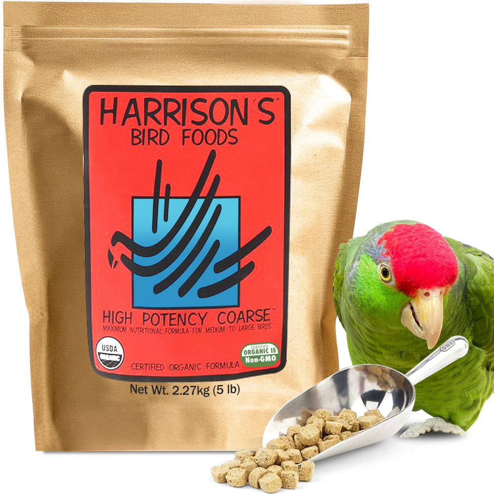 Harrison's High Potency Coarse grain texture closeup communicates wholesome, crunchy consistency loved by birds.