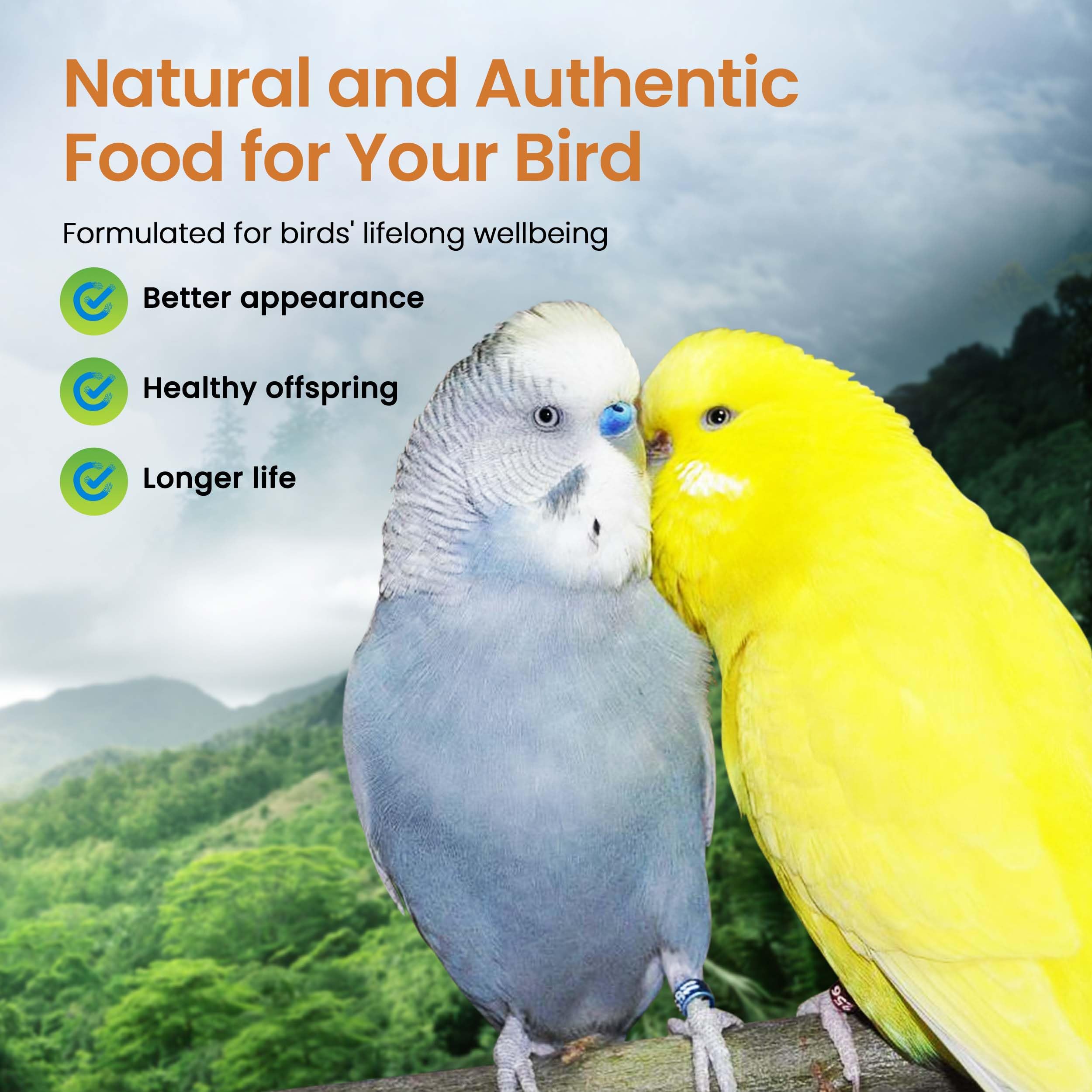 Serving scoop demonstrates easy portioning for daily bird meals with Harrison's mash.