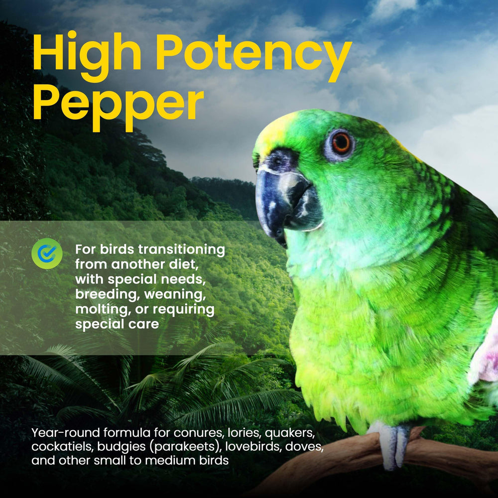 Harrison's High Potency Pepper conure diet focuses on vitamins and minerals for daily meals.