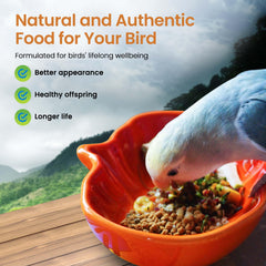 Harrison's High Potency Pepper lovebird setup emphasizes organic ingredients in a premium blend.